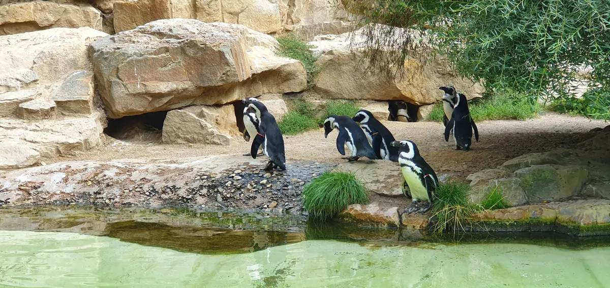 Details at Berlin Zoological Garden Berlin — travel photo