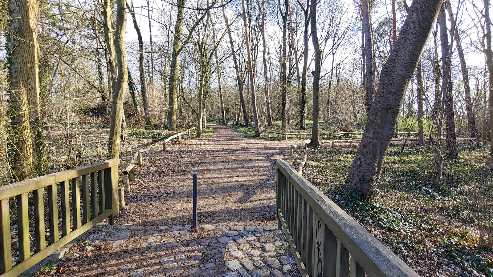 Atmosphere at Botanical Volkspark Pankow Blankenfelde Berlin — travel photo