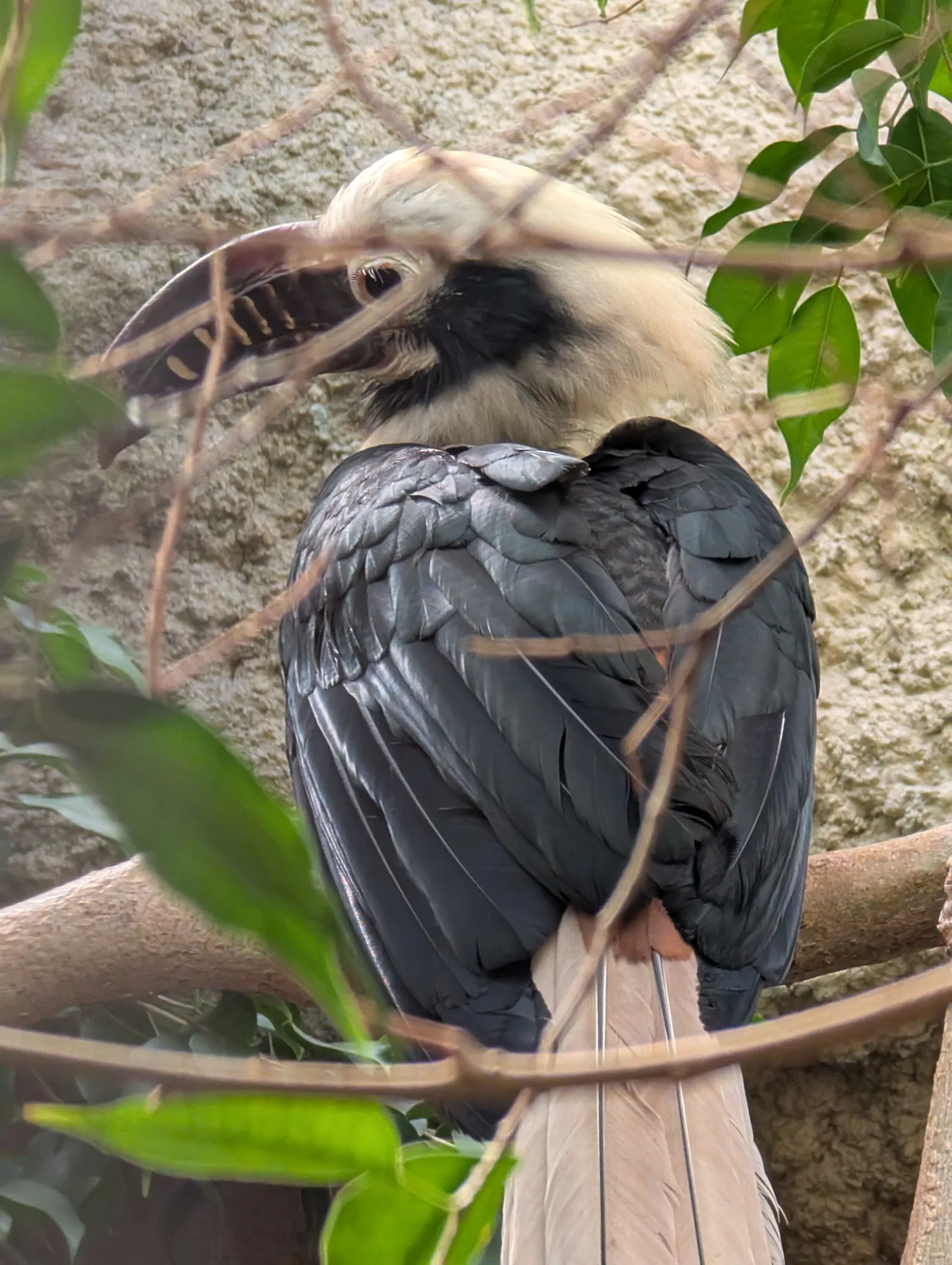 Details at Elefantentor (Zoo Berlin) Berlin — travel photo