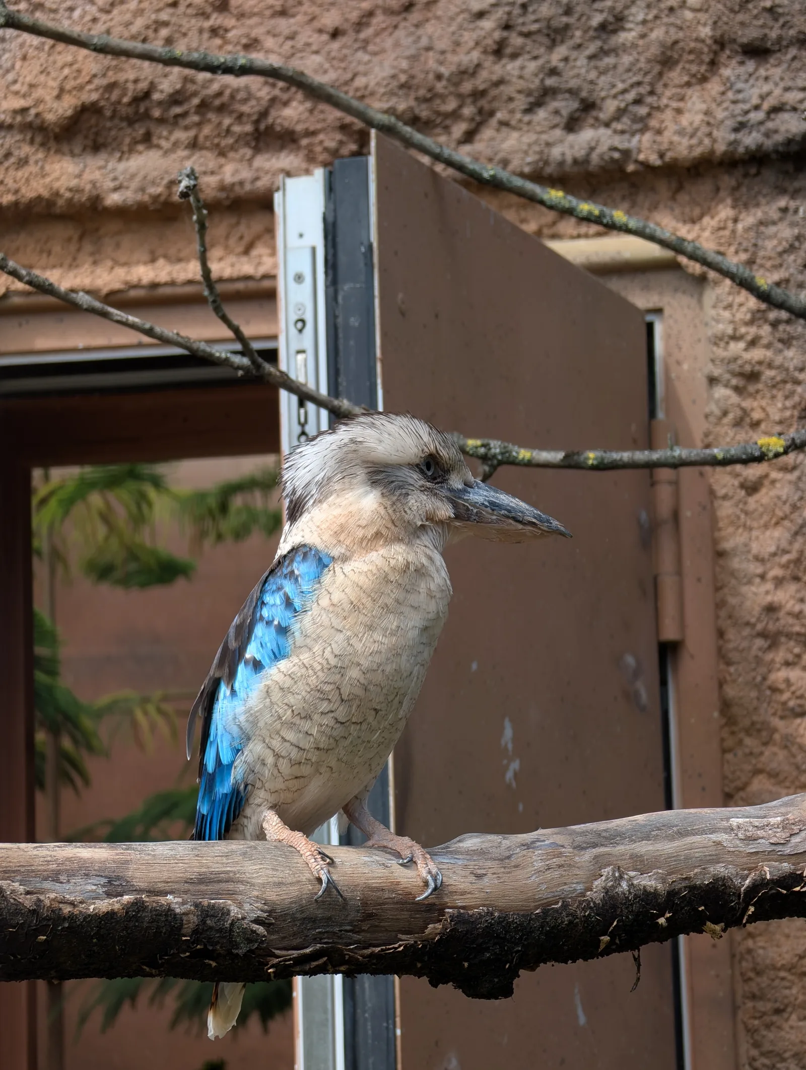 Atmosphere at Elefantentor (Zoo Berlin) Berlin — travel photo