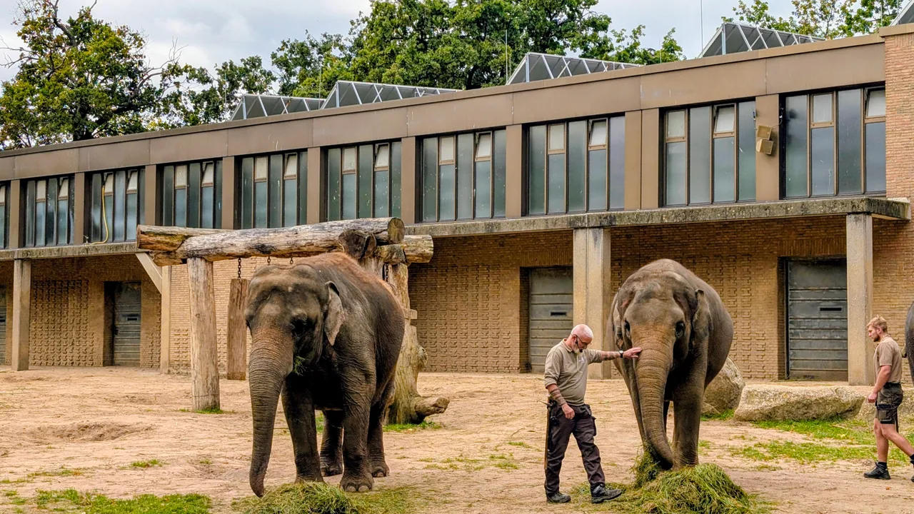 Elefantentor (Zoo Berlin)