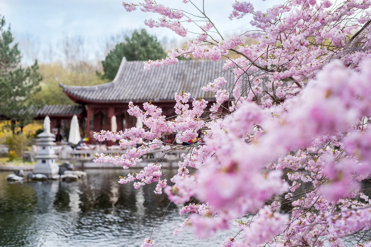 Gardens of the World — family guide Berlin