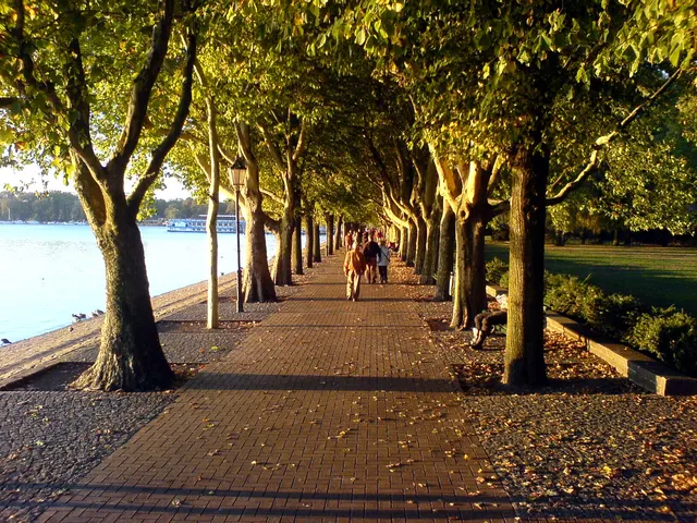 Greenwich Promenade