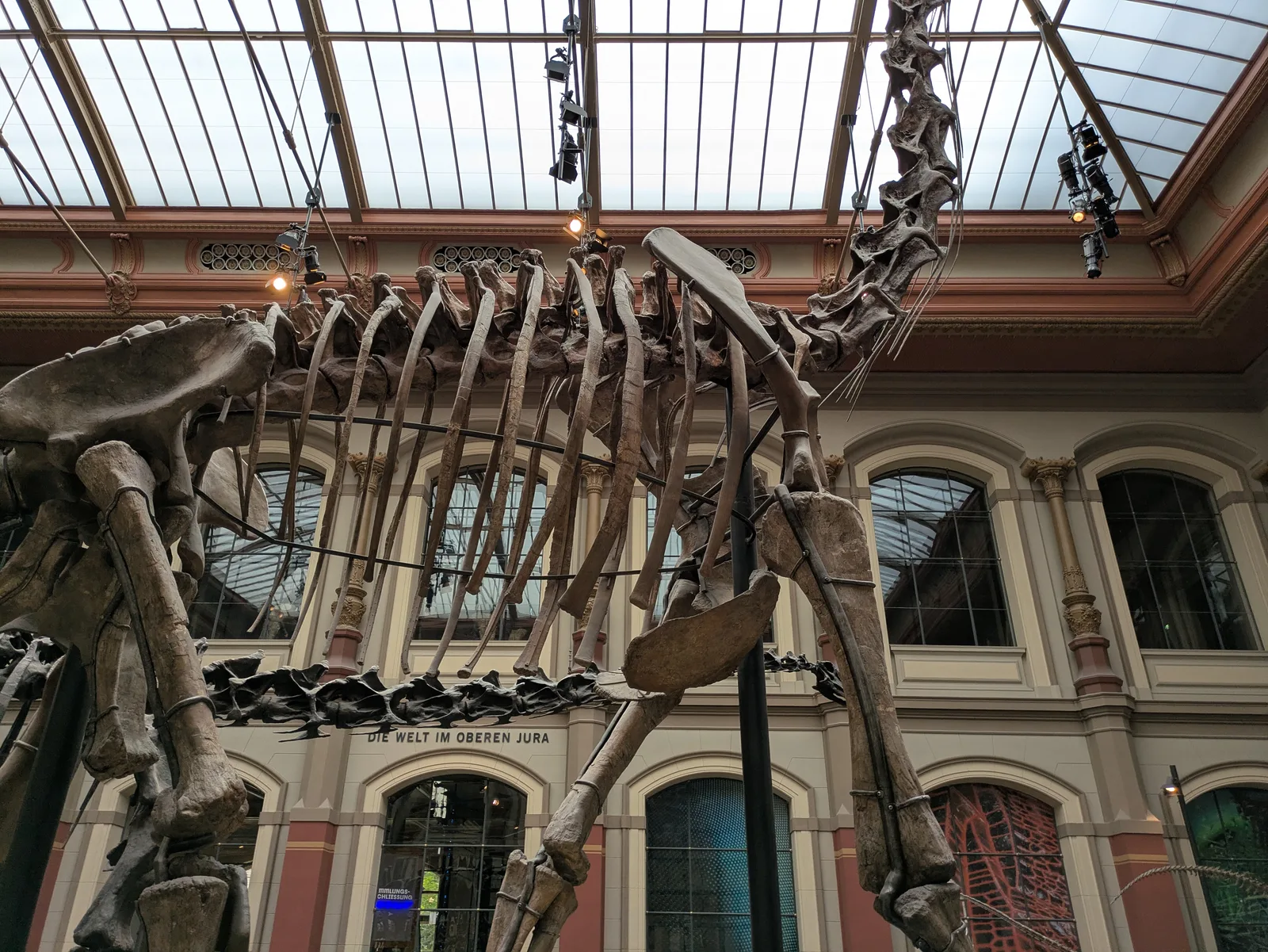 Main view at Museum für Naturkunde Berlin Berlin — travel photo