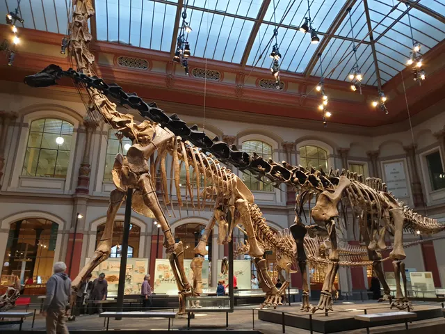 Museum für Naturkunde in Berlin