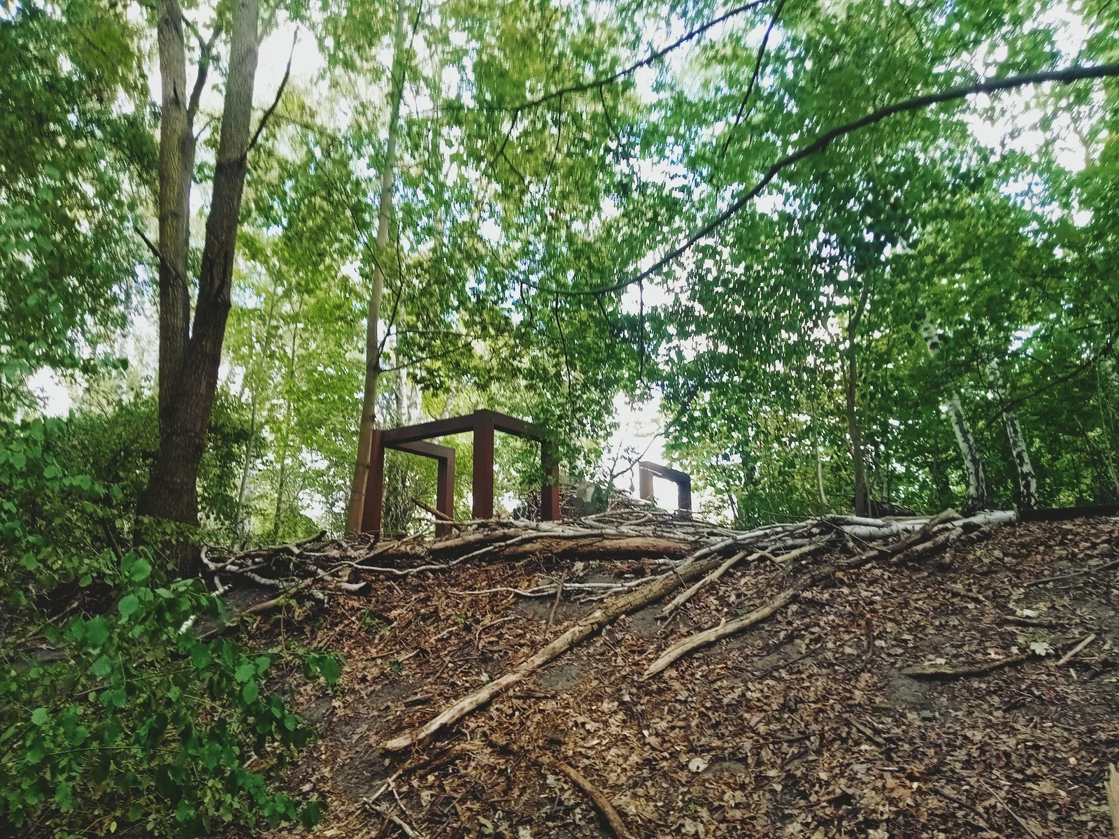 Main view at Natur Park Südgelände Berlin — travel photo