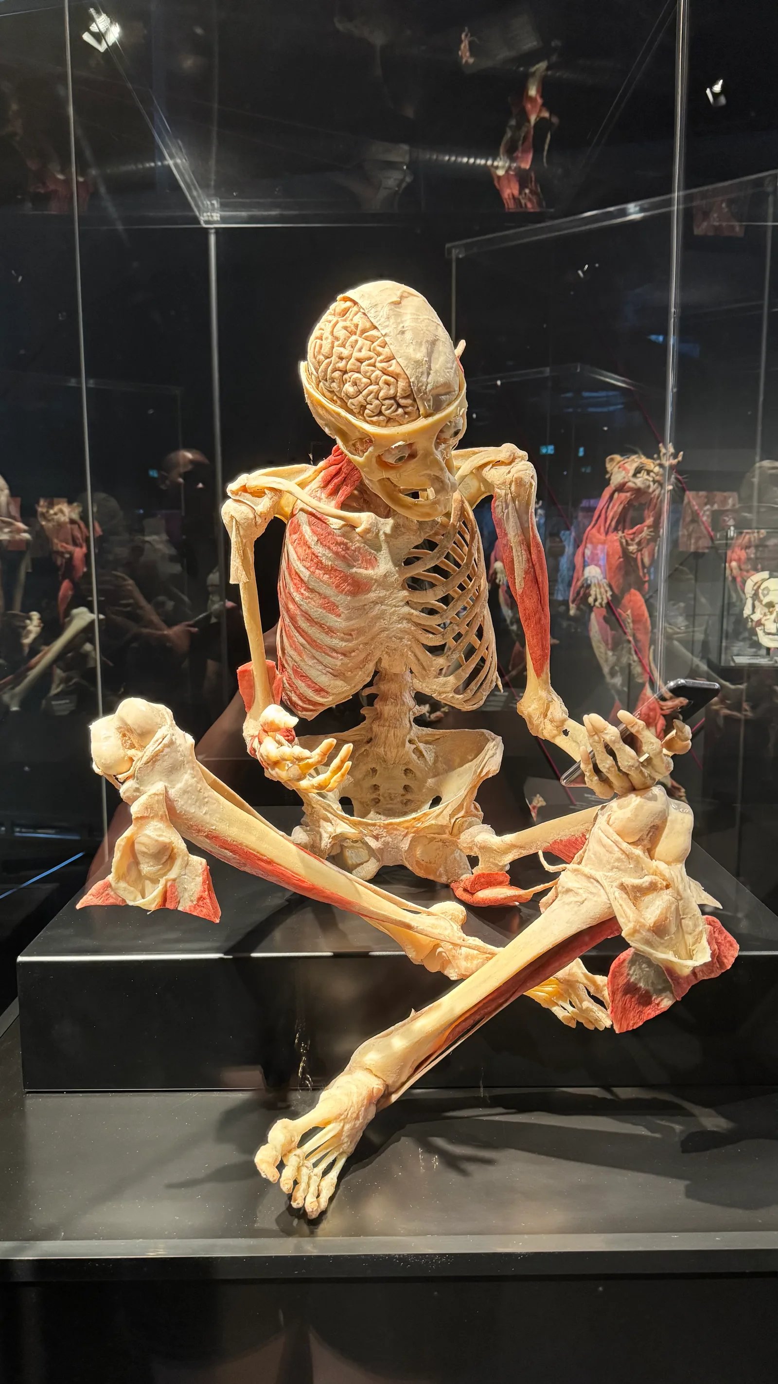 Details at People Museum - The first museum of BODY WORLDS Berlin — travel photo
