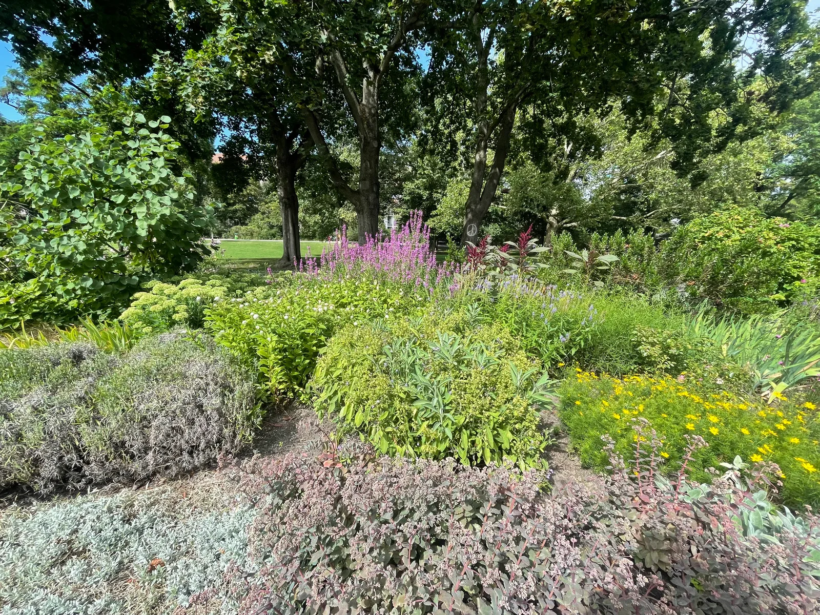 Atmosphere at Rudolph-Wilde-Park Berlin — travel photo