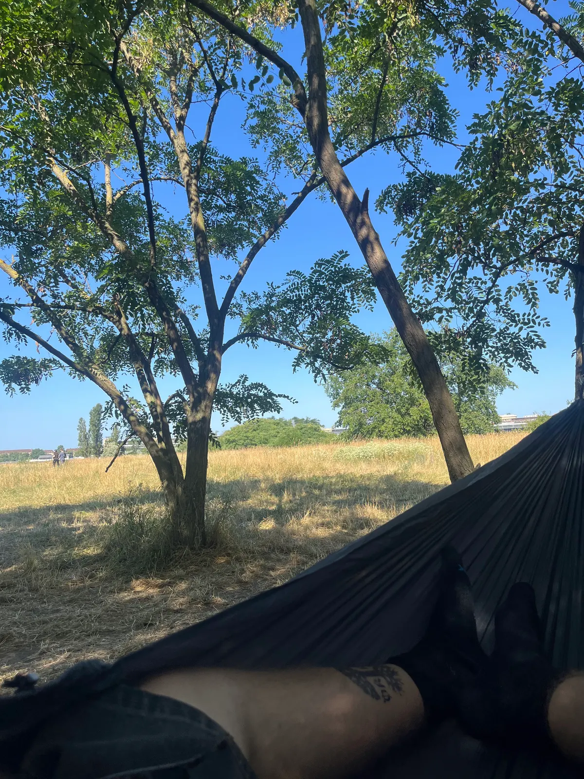 Main view at Tempelhofer Feld Berlin — travel photo