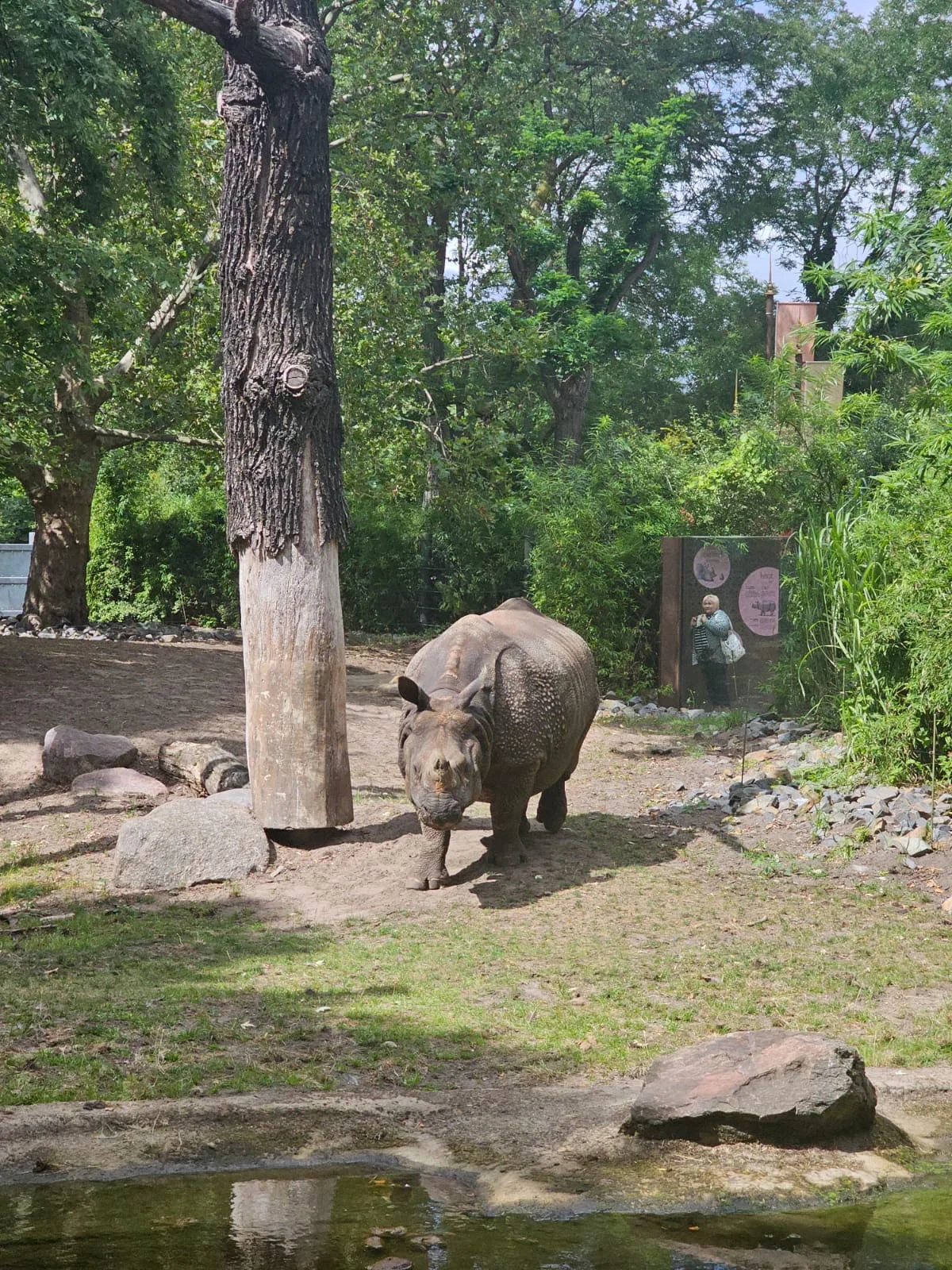 Main view at Tierpark Berlin Berlin — travel photo
