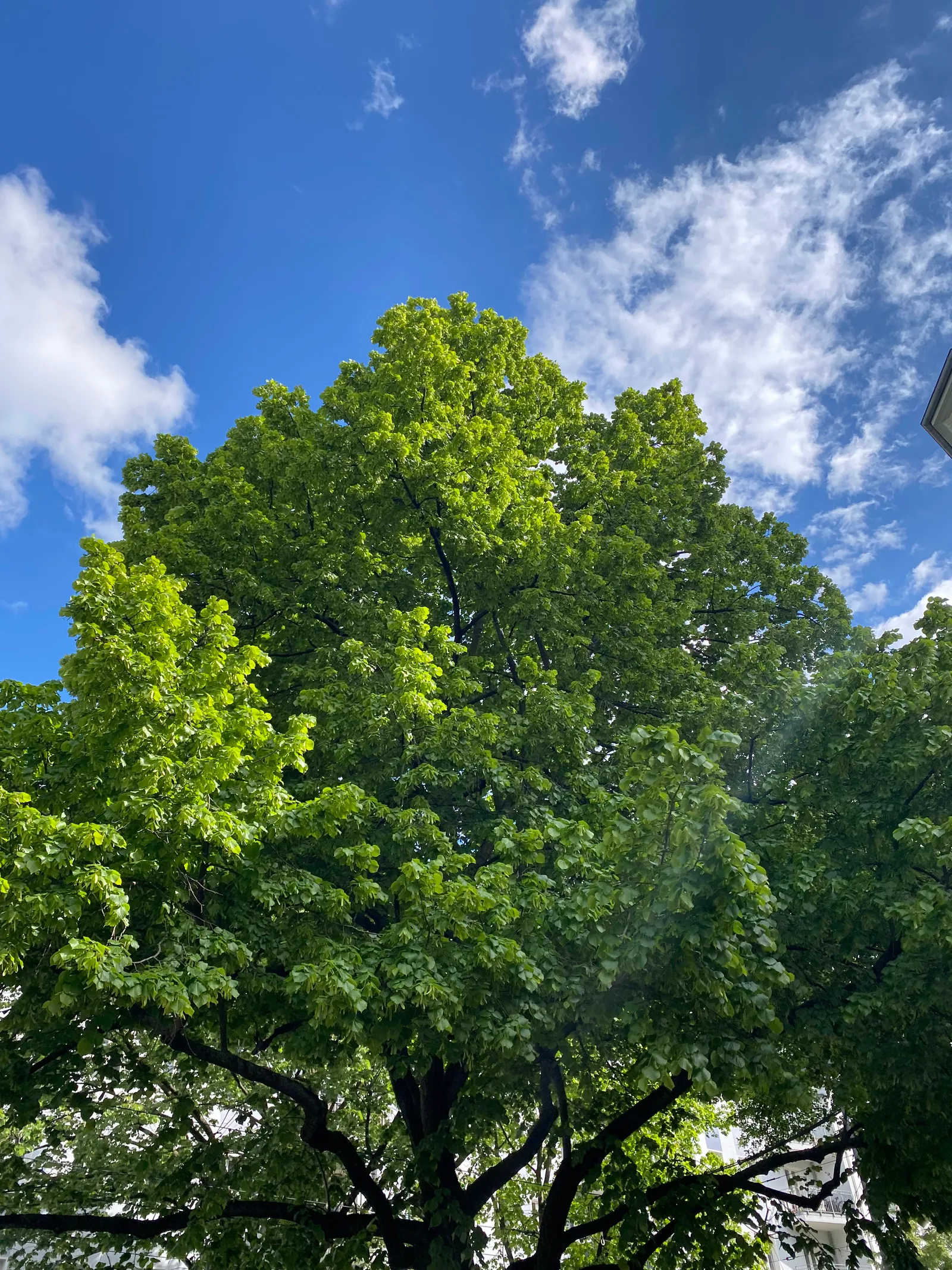 Interior at Volkspark am Weinberg Berlin — travel photo