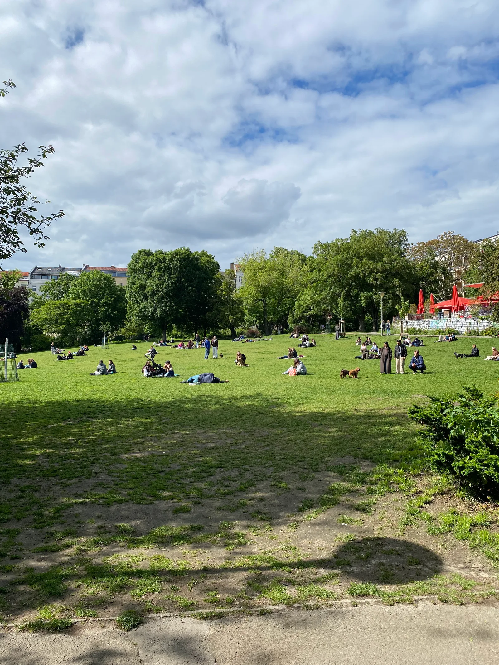 Details at Volkspark am Weinberg Berlin — travel photo