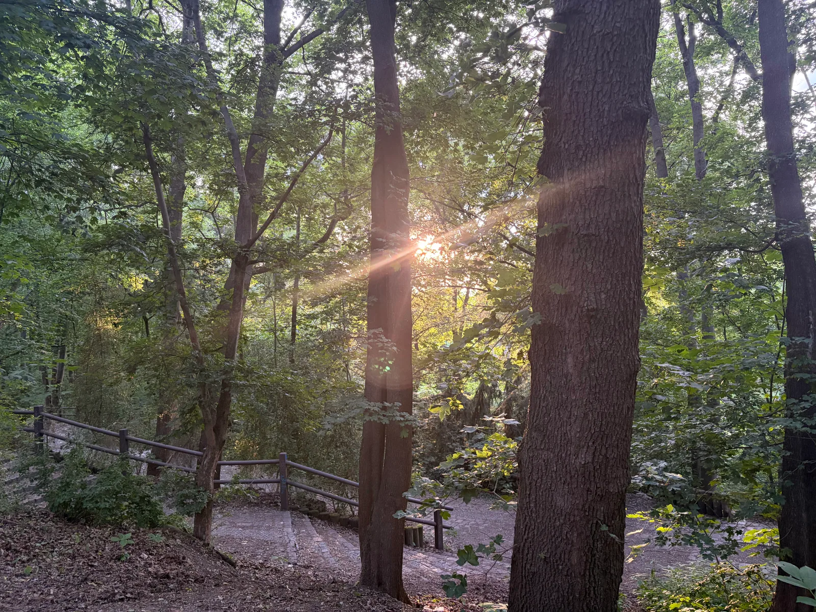 Atmosphere at Volkspark Humboldthain Berlin — travel photo