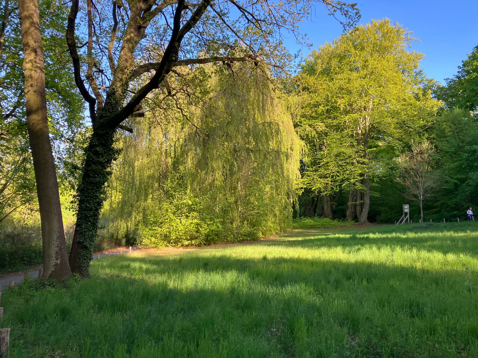Interior at Volkspark Rehberge Berlin — travel photo