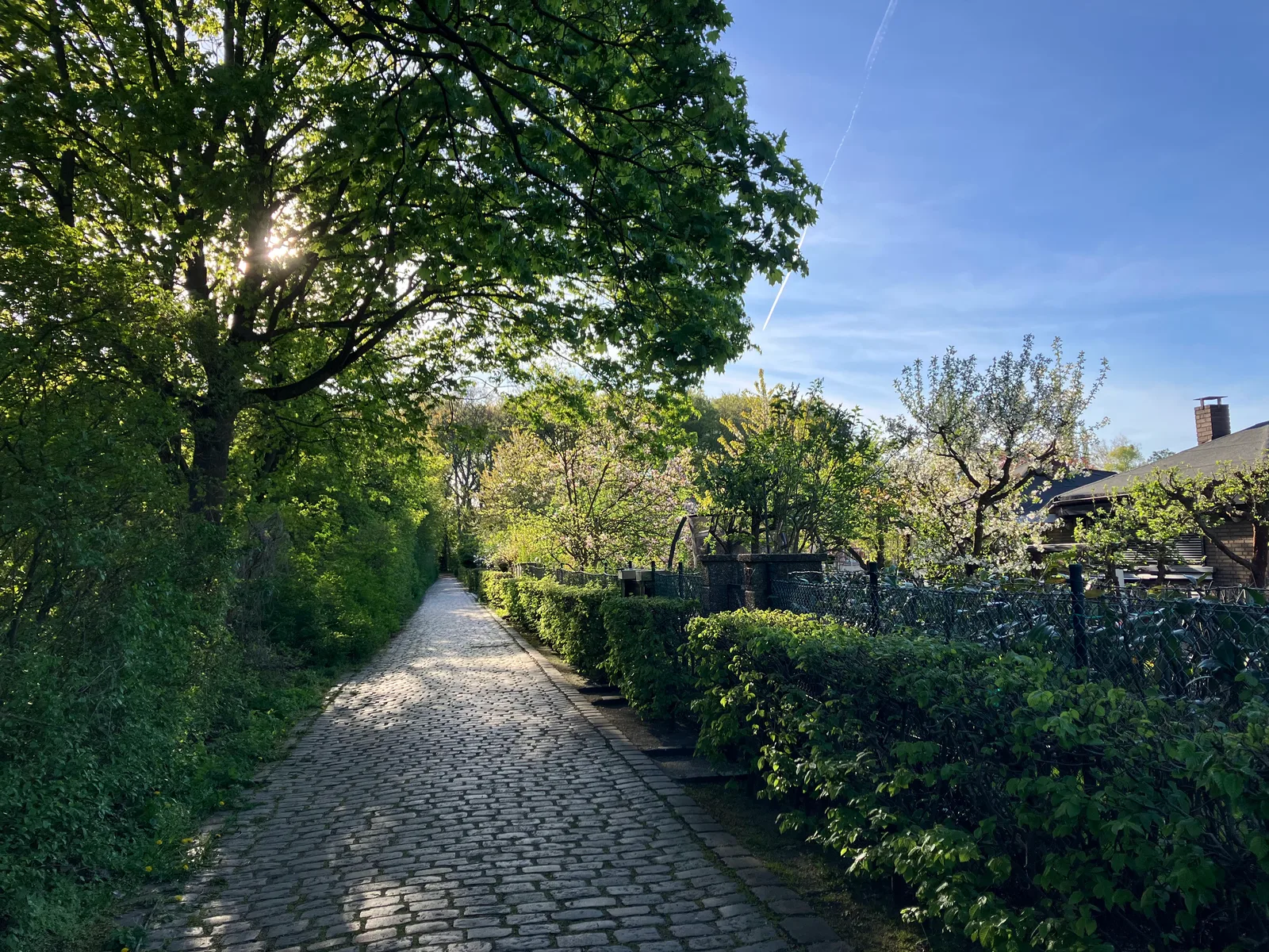 Details at Volkspark Rehberge Berlin — travel photo