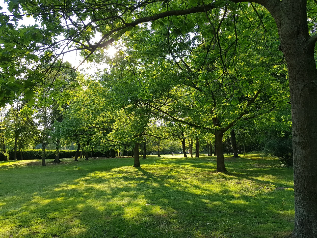 Volkspark Rehberge — romantic guide Berlin