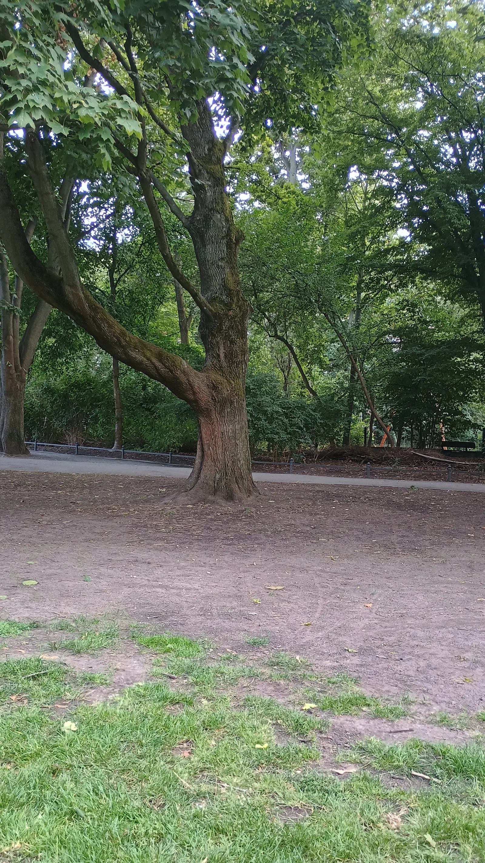 Main view at Volkspark Wilmersdorf Berlin — travel photo
