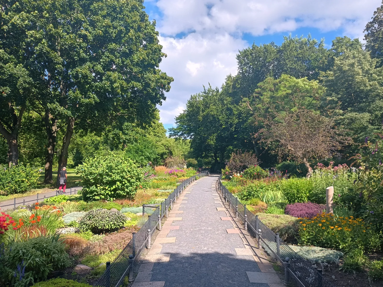 Details at Volkspark Wilmersdorf Berlin — travel photo