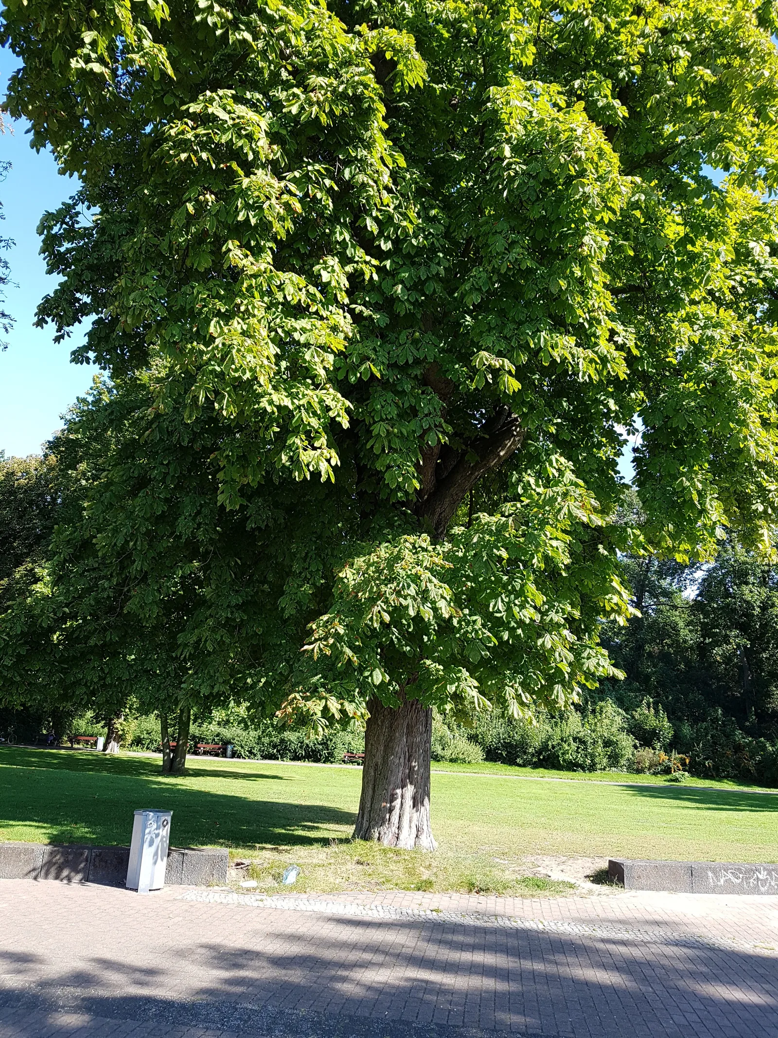 Atmosphere at Volkspark Wilmersdorf Berlin — travel photo
