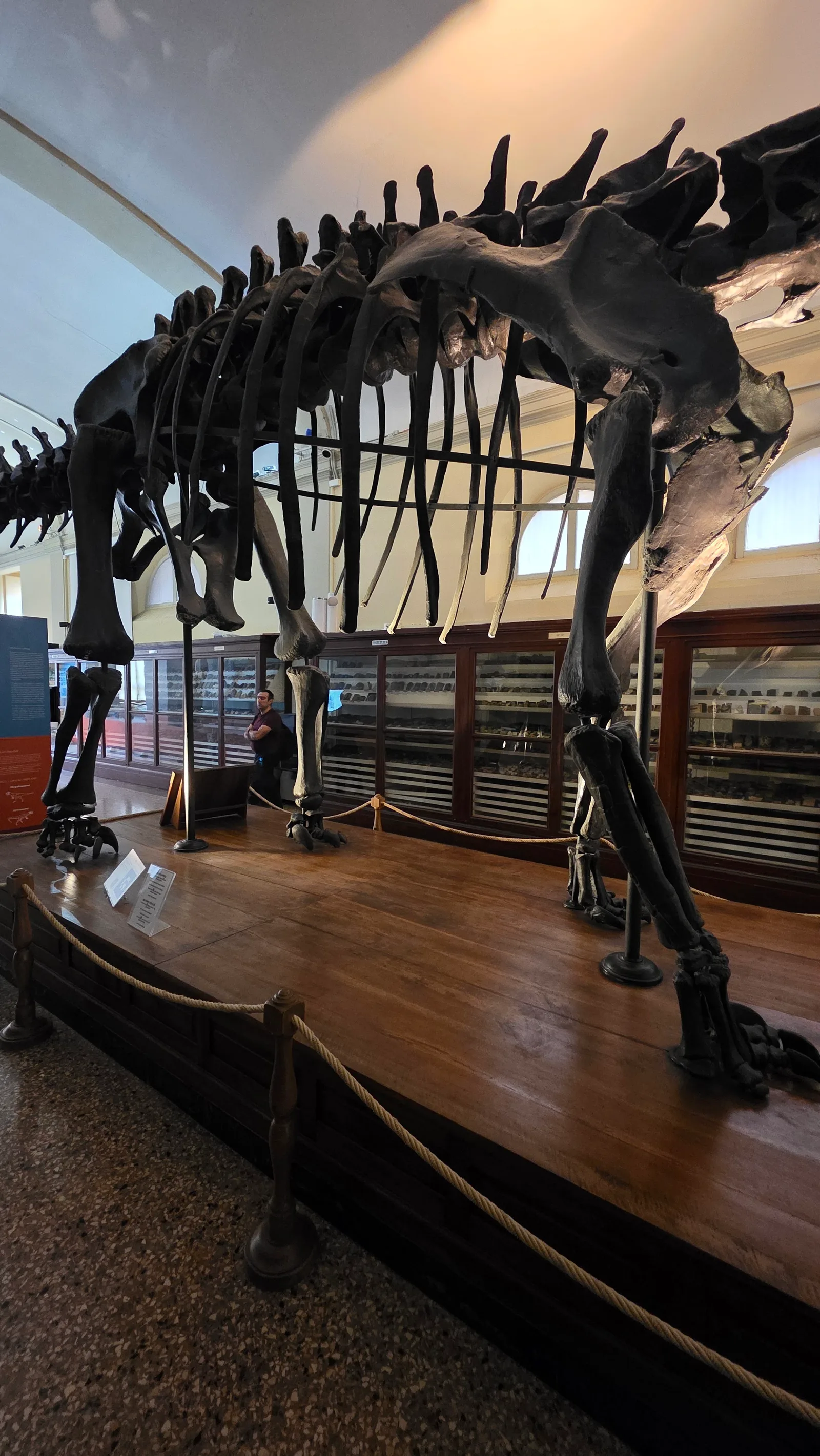 Interior at Collezione di Geologia "Museo Giovanni Capellini" Bologna — travel photo