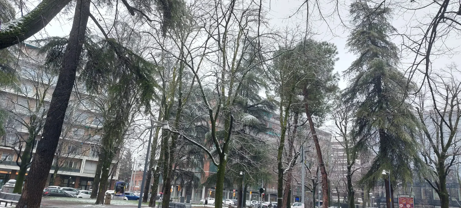 Atmosphere at Giardino Padre Ernesto Caroli Piazza Trento Trieste Bologna — travel photo