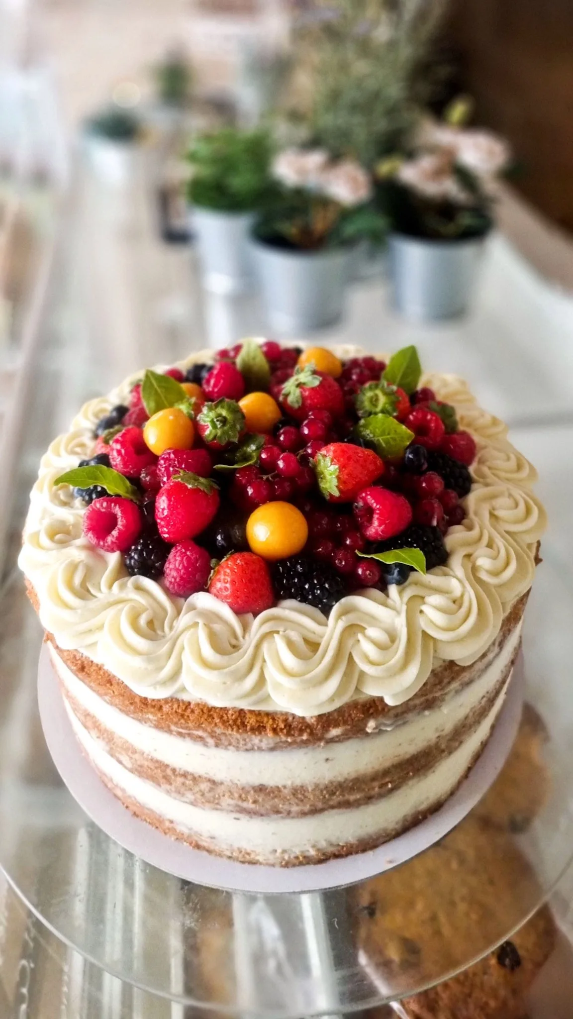 Main view at Missbake Bologna — travel photo