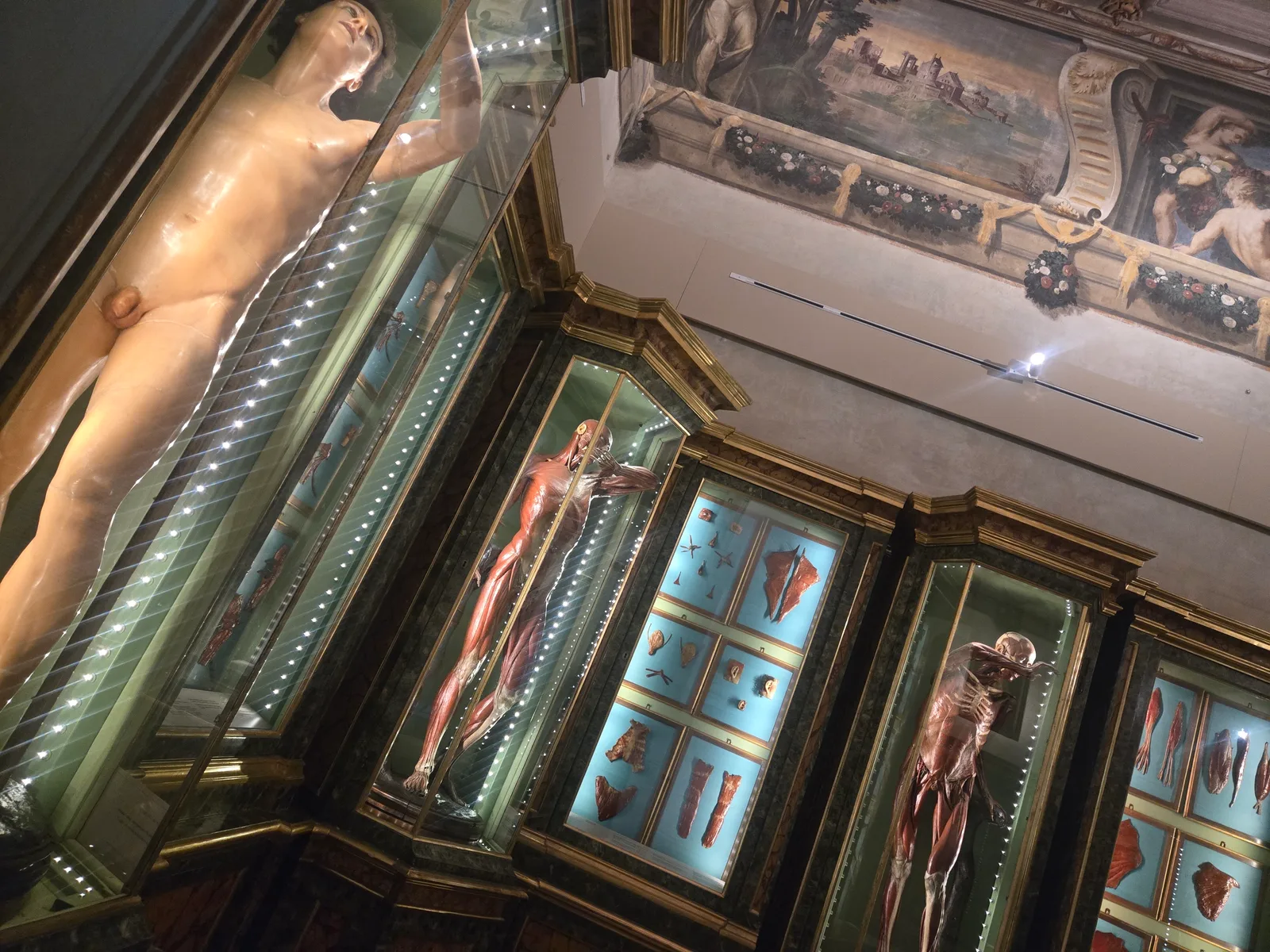 Atmosphere at Museo di Palazzo Poggi Bologna — travel photo