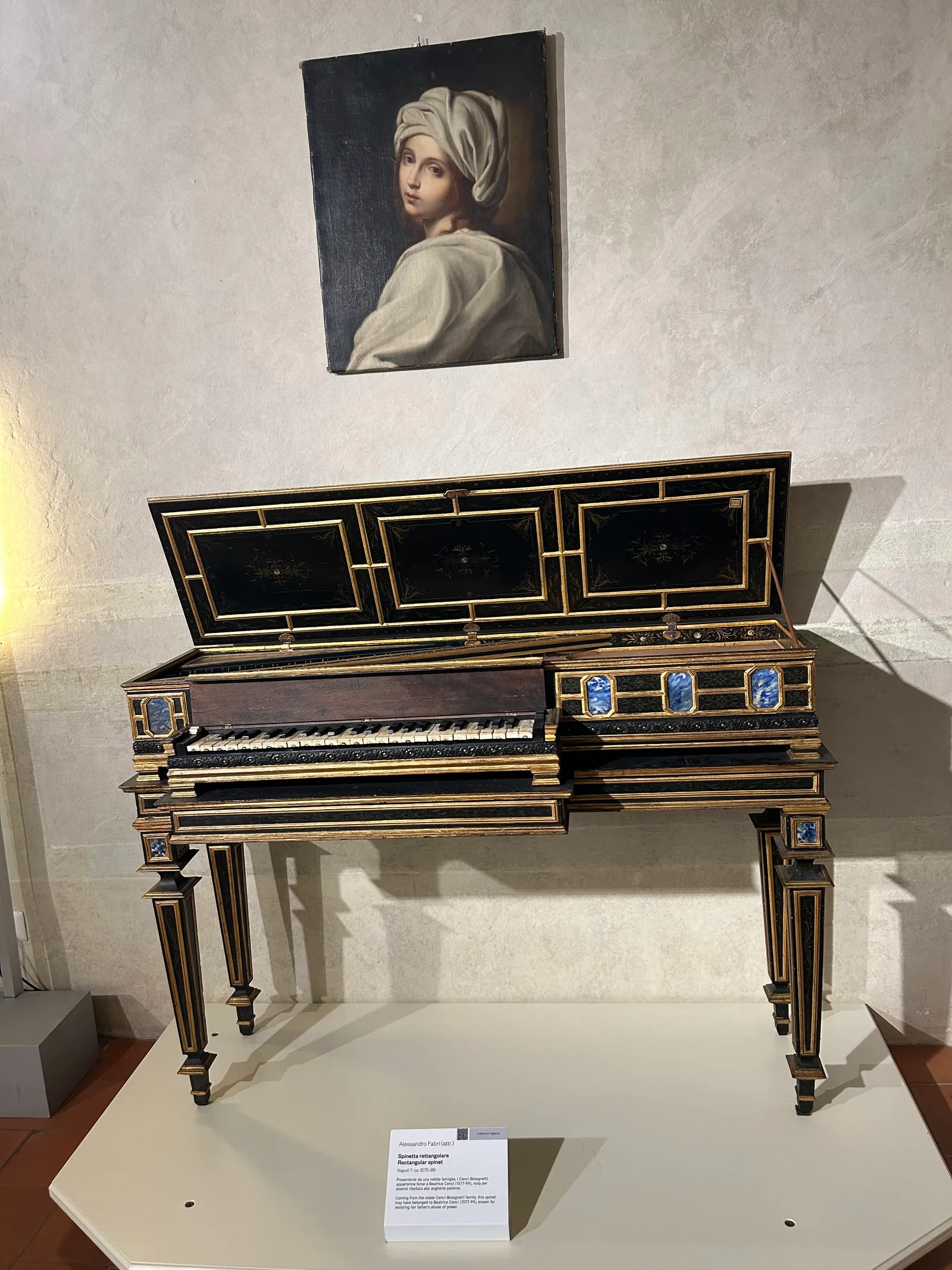 Interior at Museum of San Colombano - Tagliavini Collection Bologna — travel photo