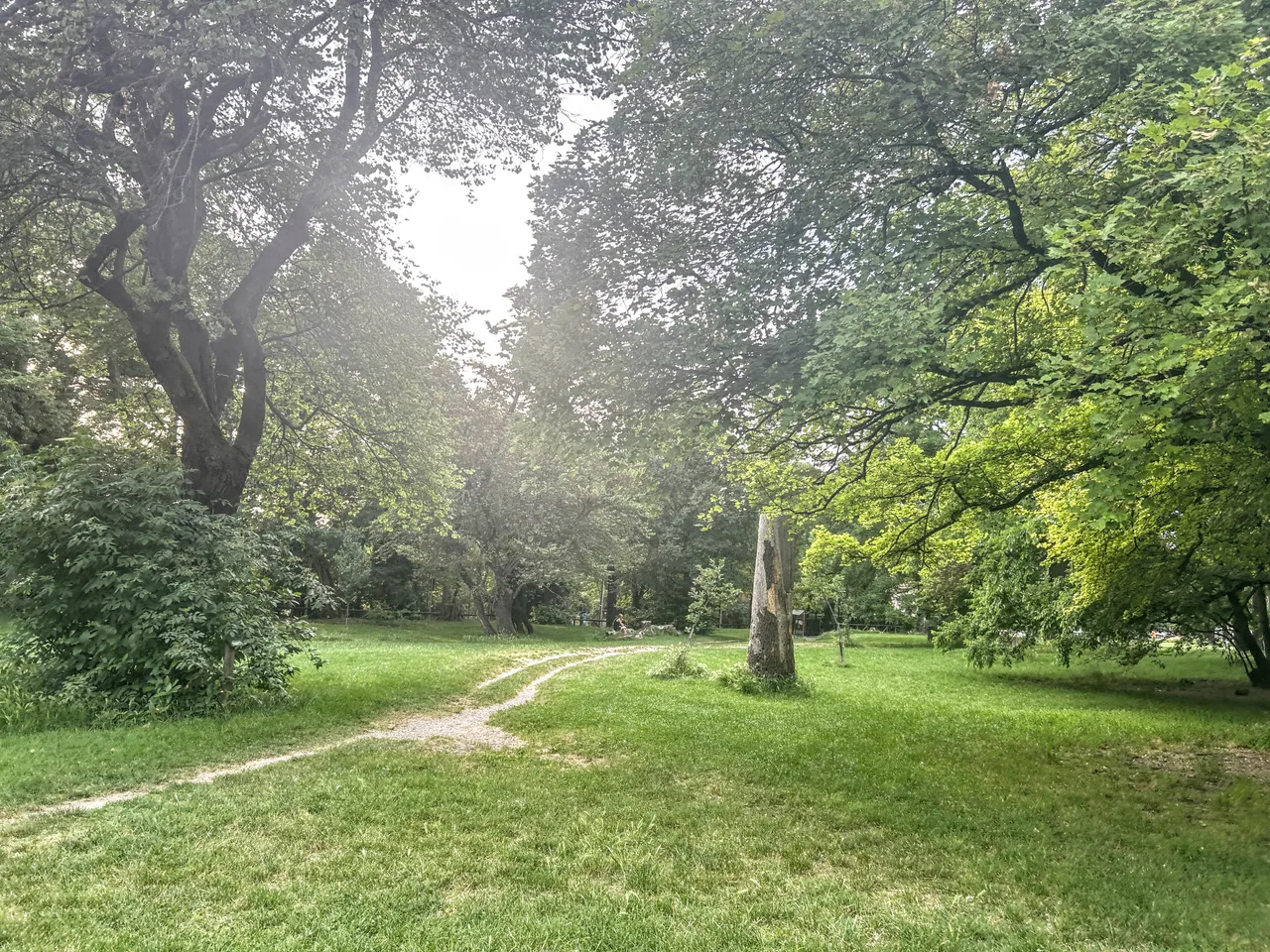 Parco della Chiusa (Parco Talon)
