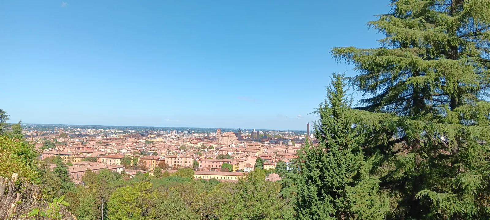 Interior at Parco di San Michele in Bosco Bologna — travel photo