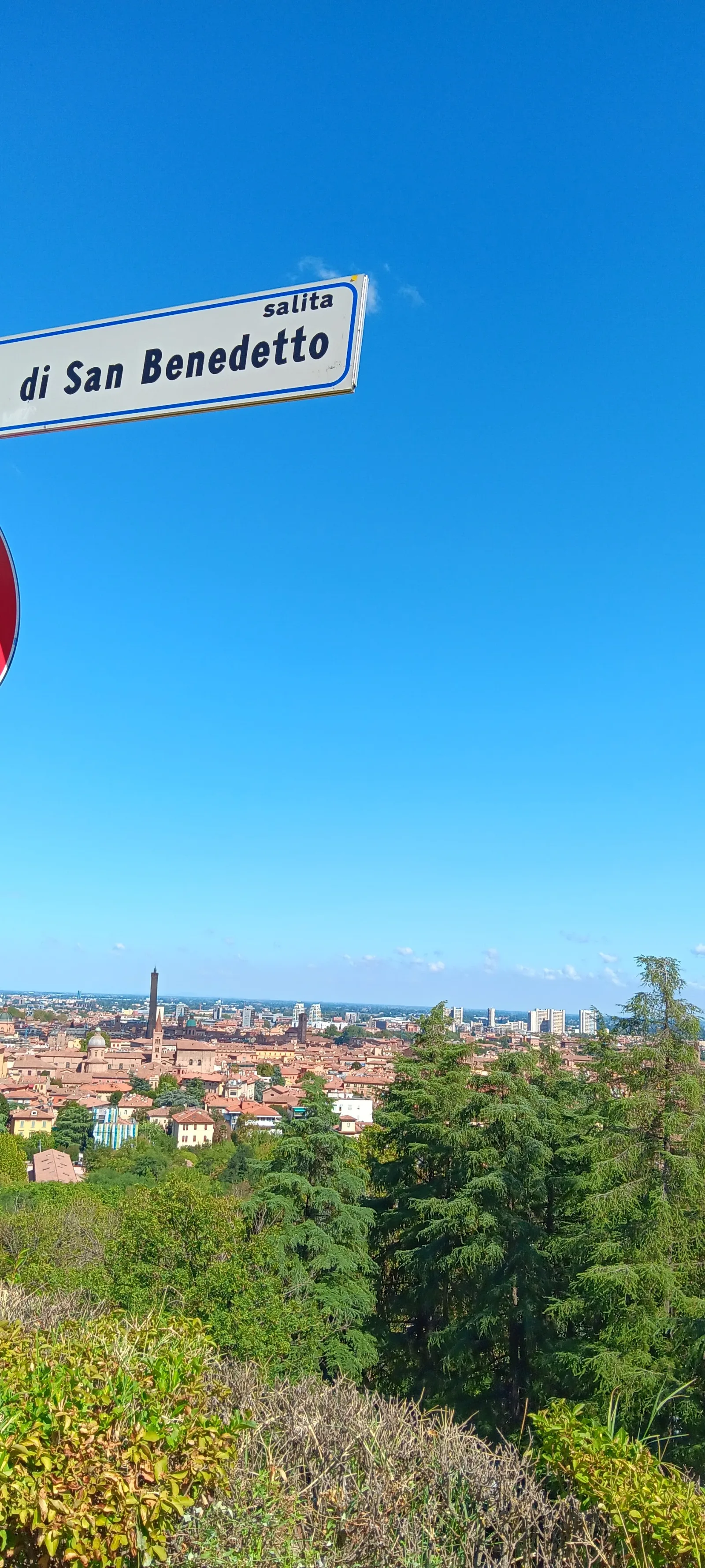 Details at Parco di San Michele in Bosco Bologna — travel photo