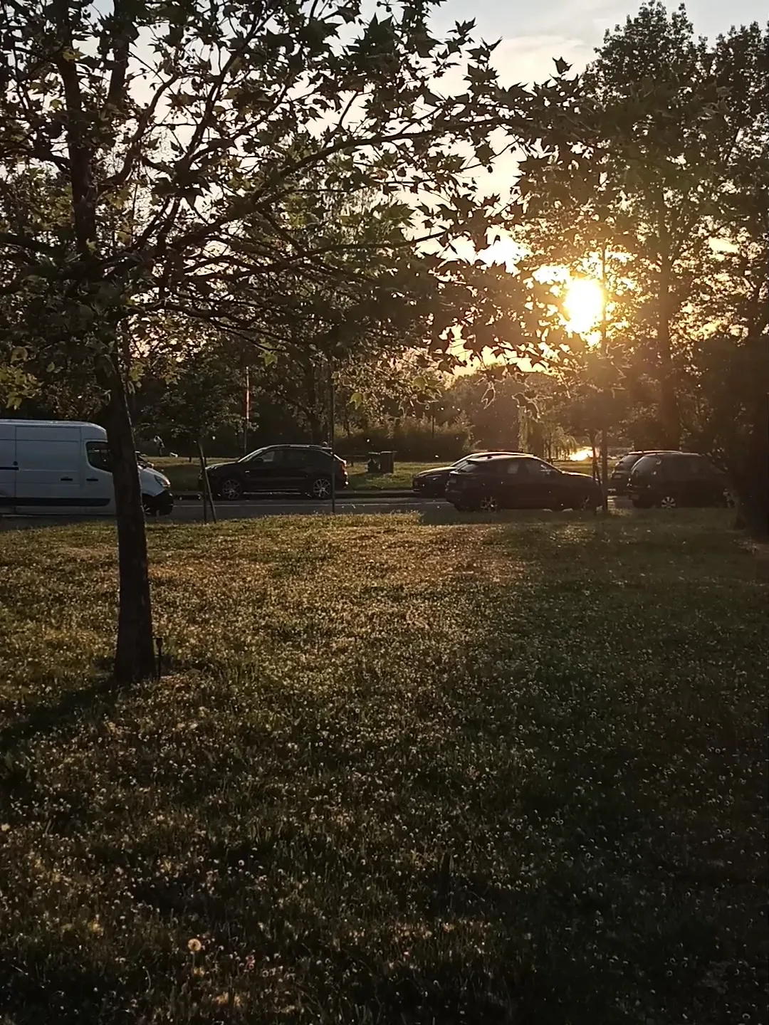 Atmosphere at Parco di Via dei Giardini Bologna — travel photo