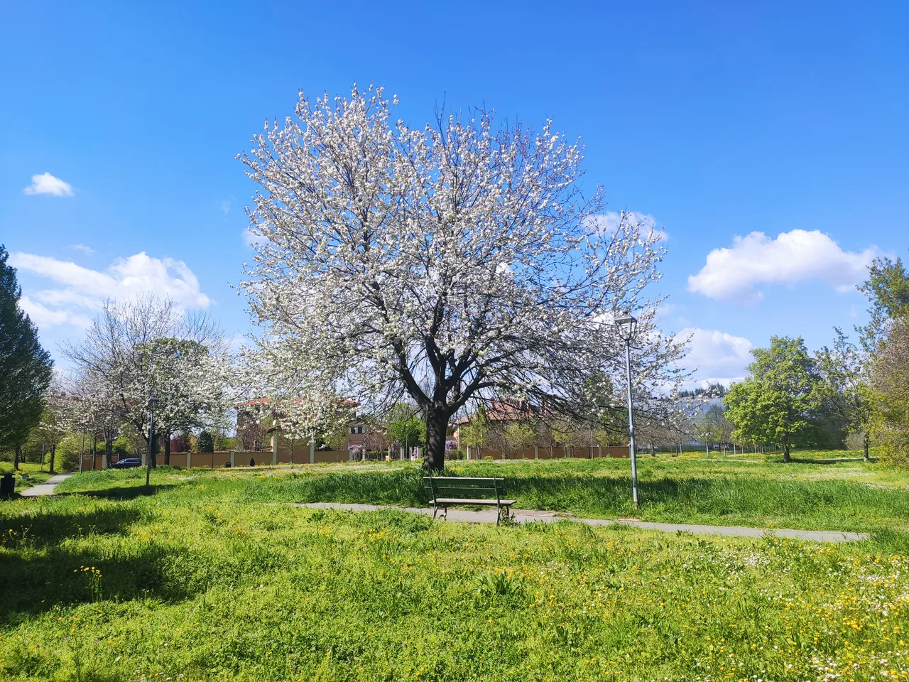 Parco Vincenzo Tanara