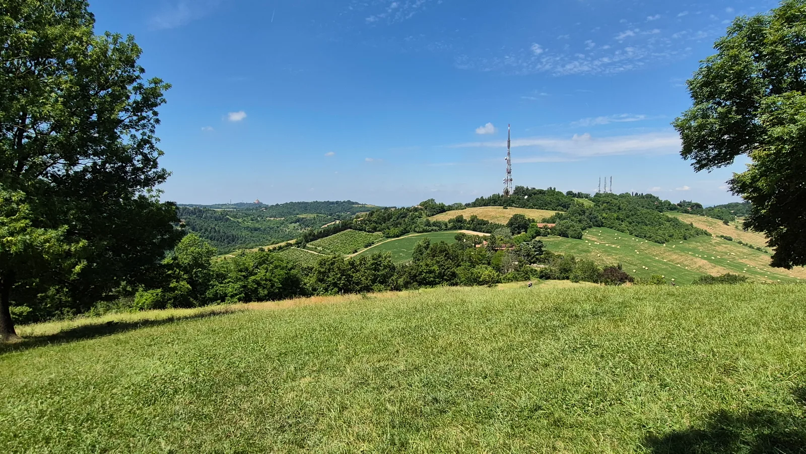 Main view at Prato Monte Donato Bologna — travel photo