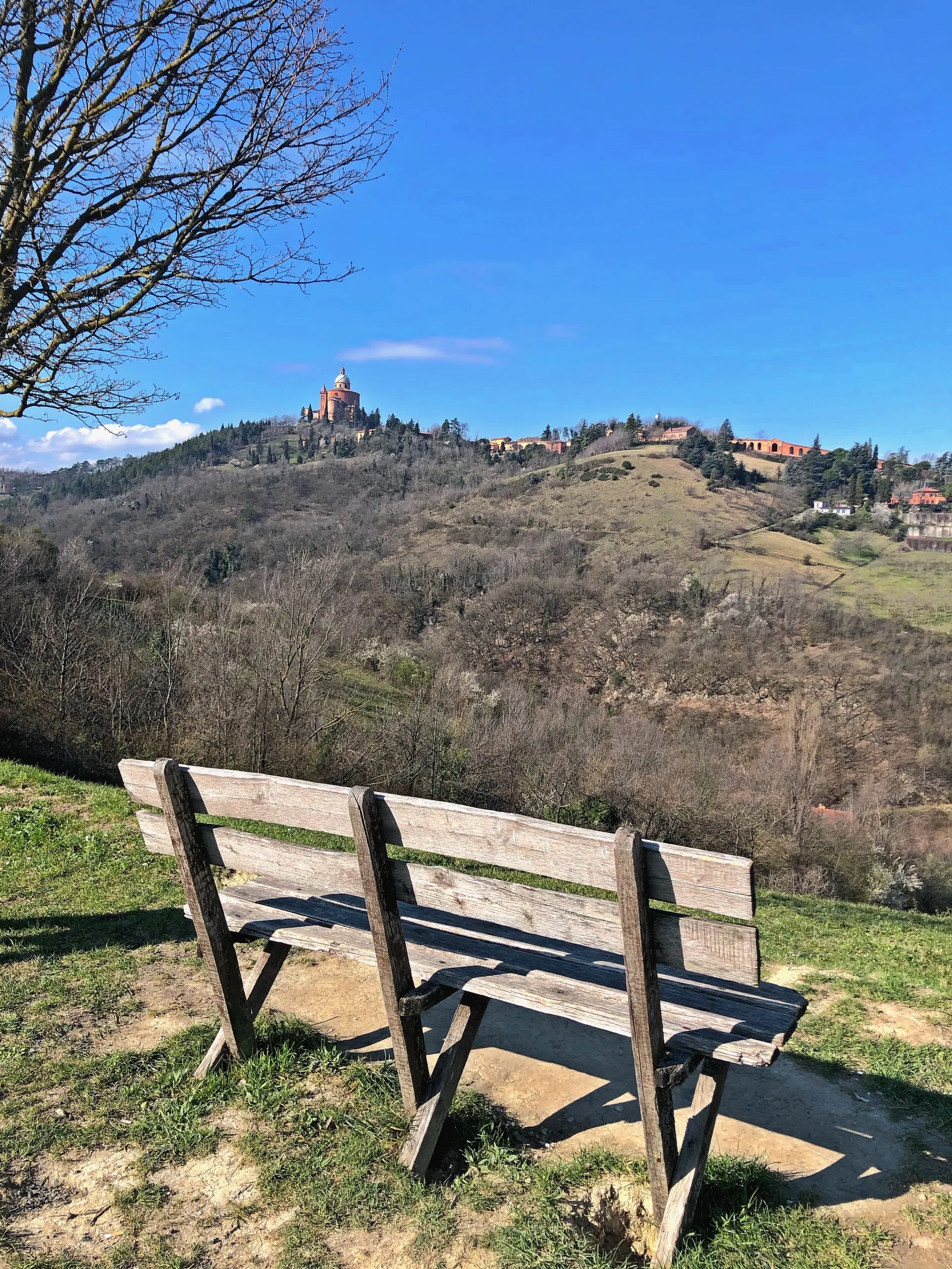 Details at Sanctuary of the Madonna of San Luca Bologna — travel photo