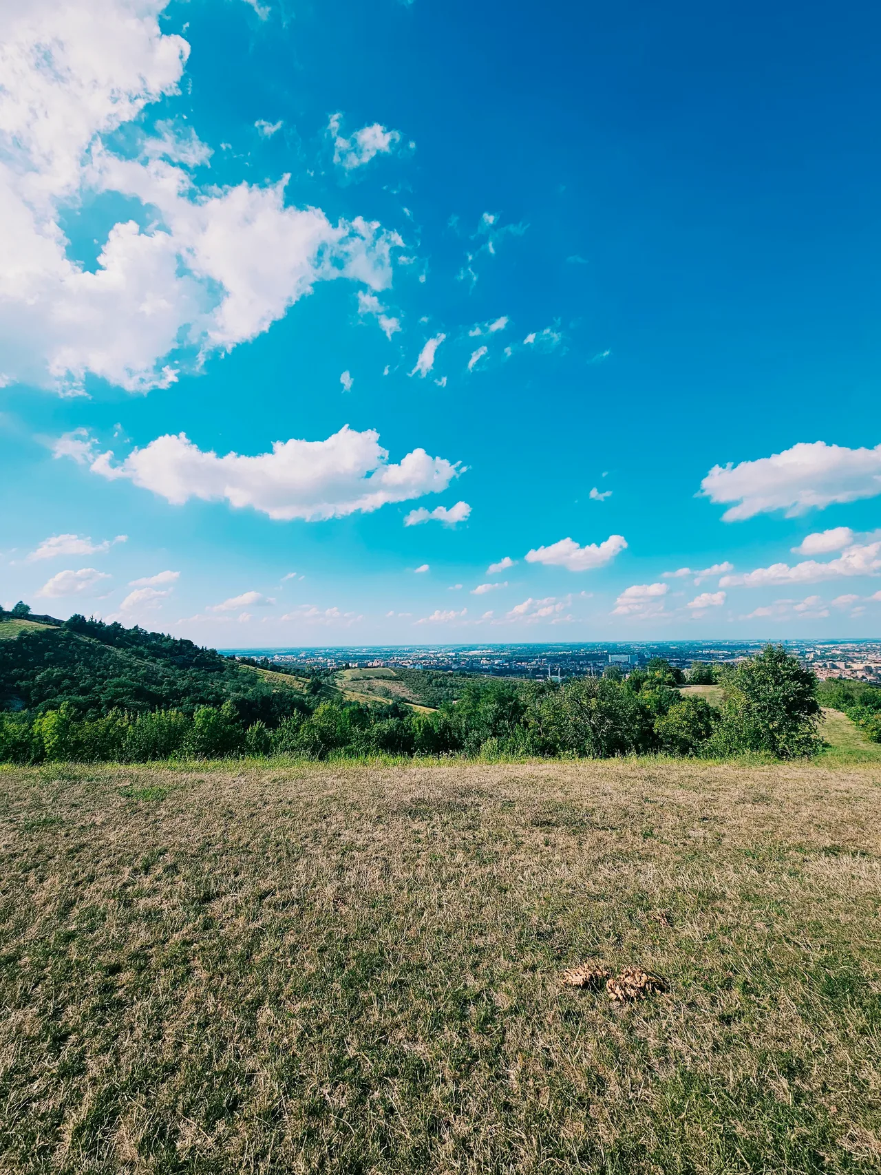 Trecento Scalini — hidden gems guide Bologna