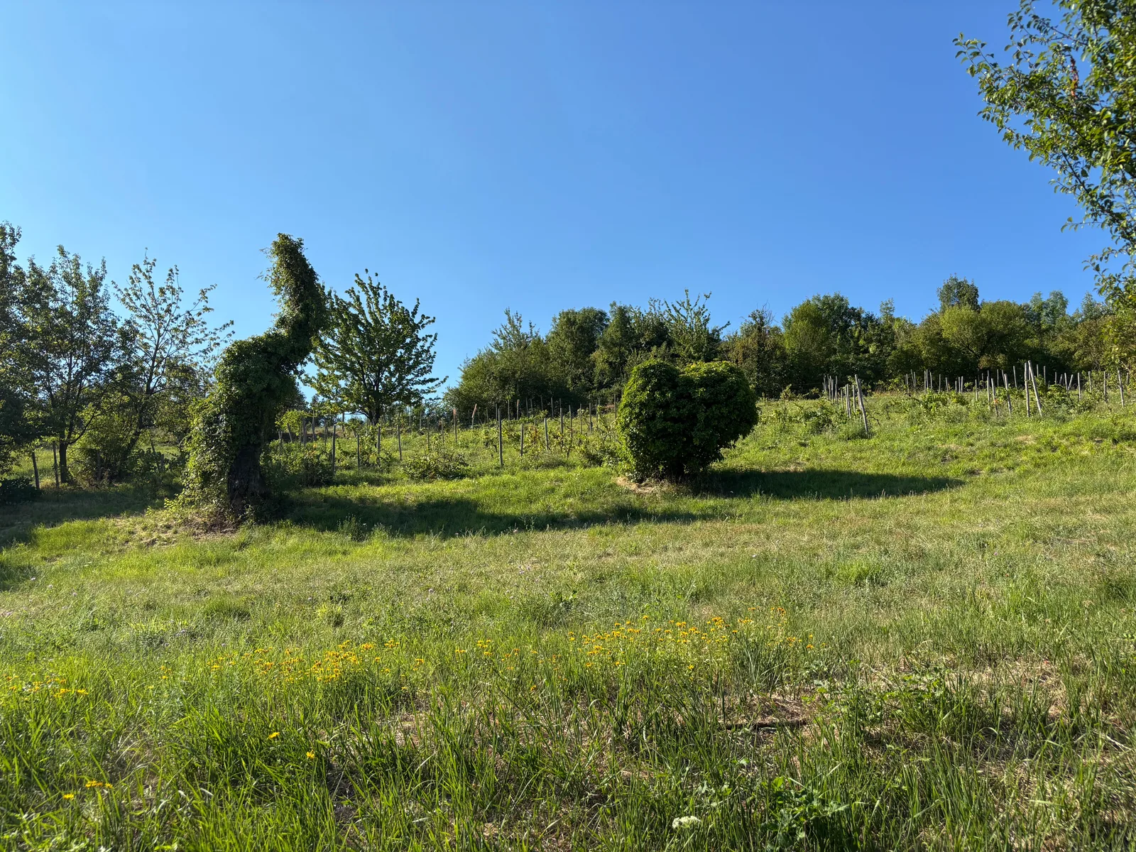 Main view at Villa Ghigi Bologna — travel photo