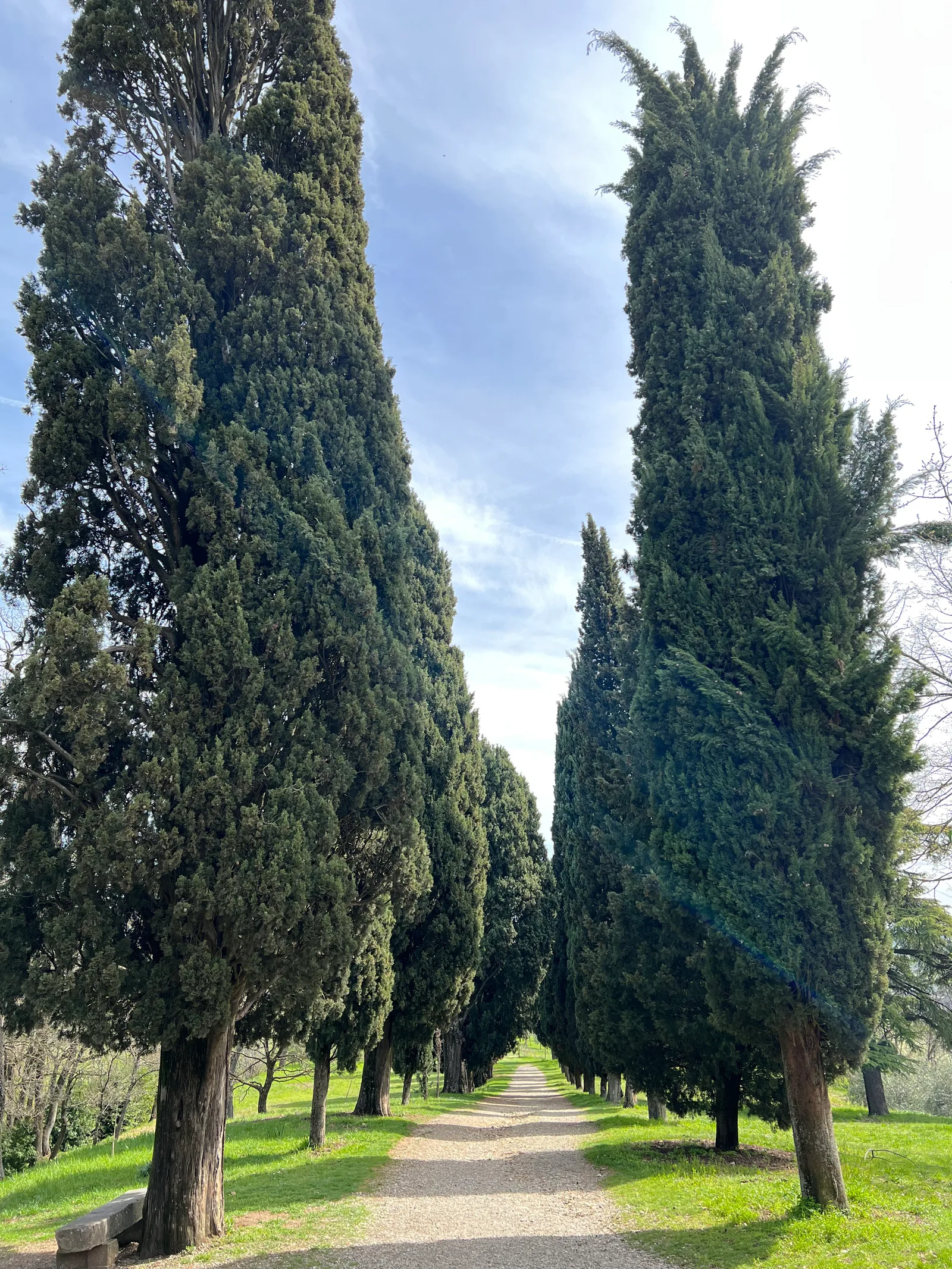 Atmosphere at Villa Ghigi Bologna — travel photo
