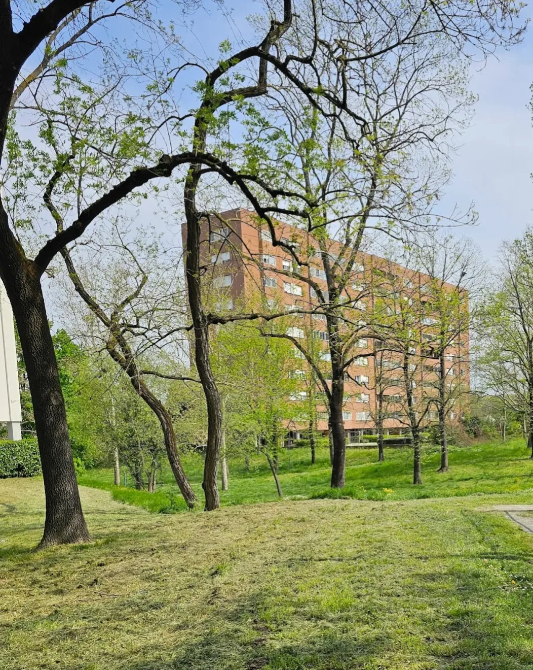 Main view at yellow house park Bologna — travel photo