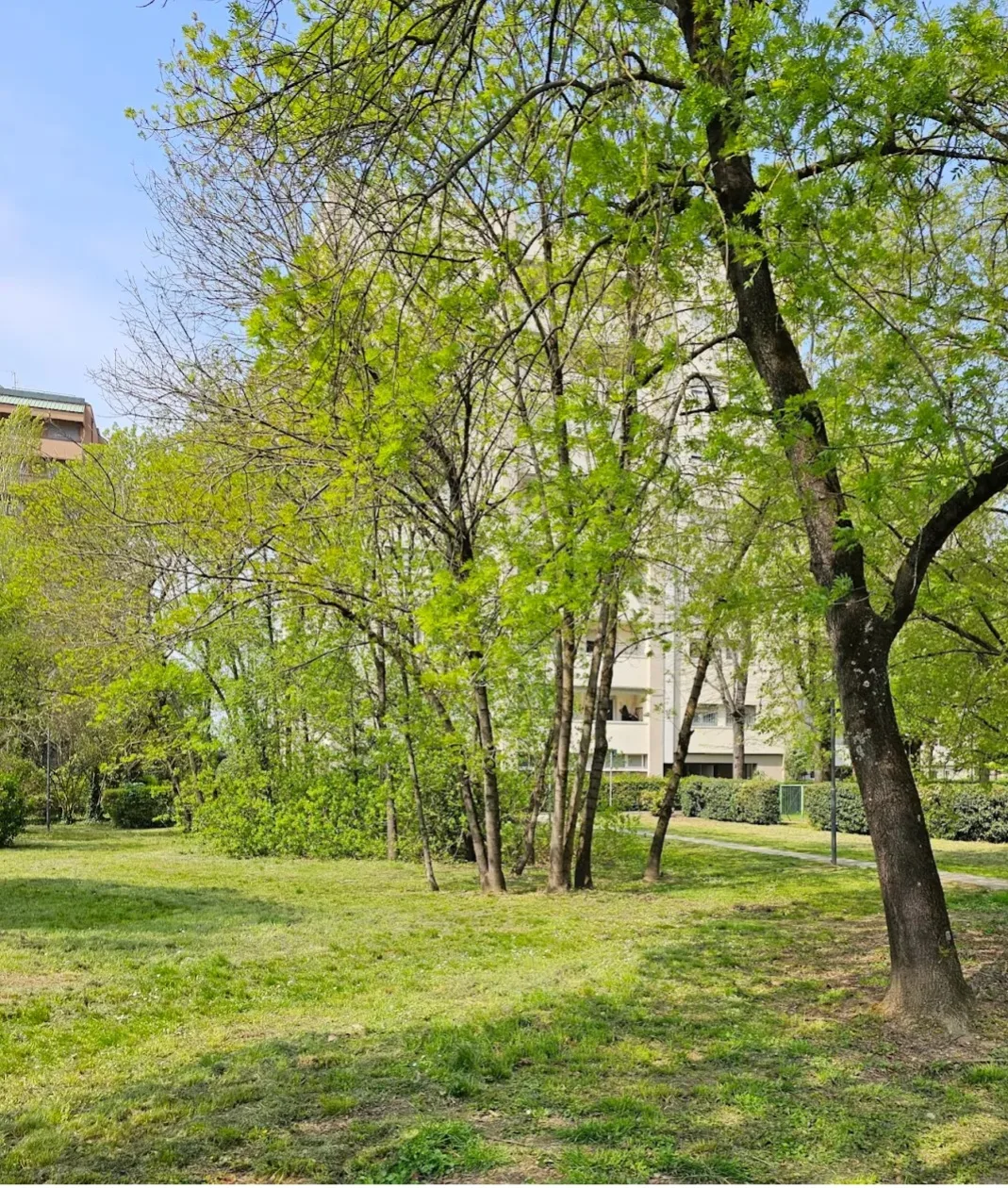 Details at yellow house park Bologna — travel photo