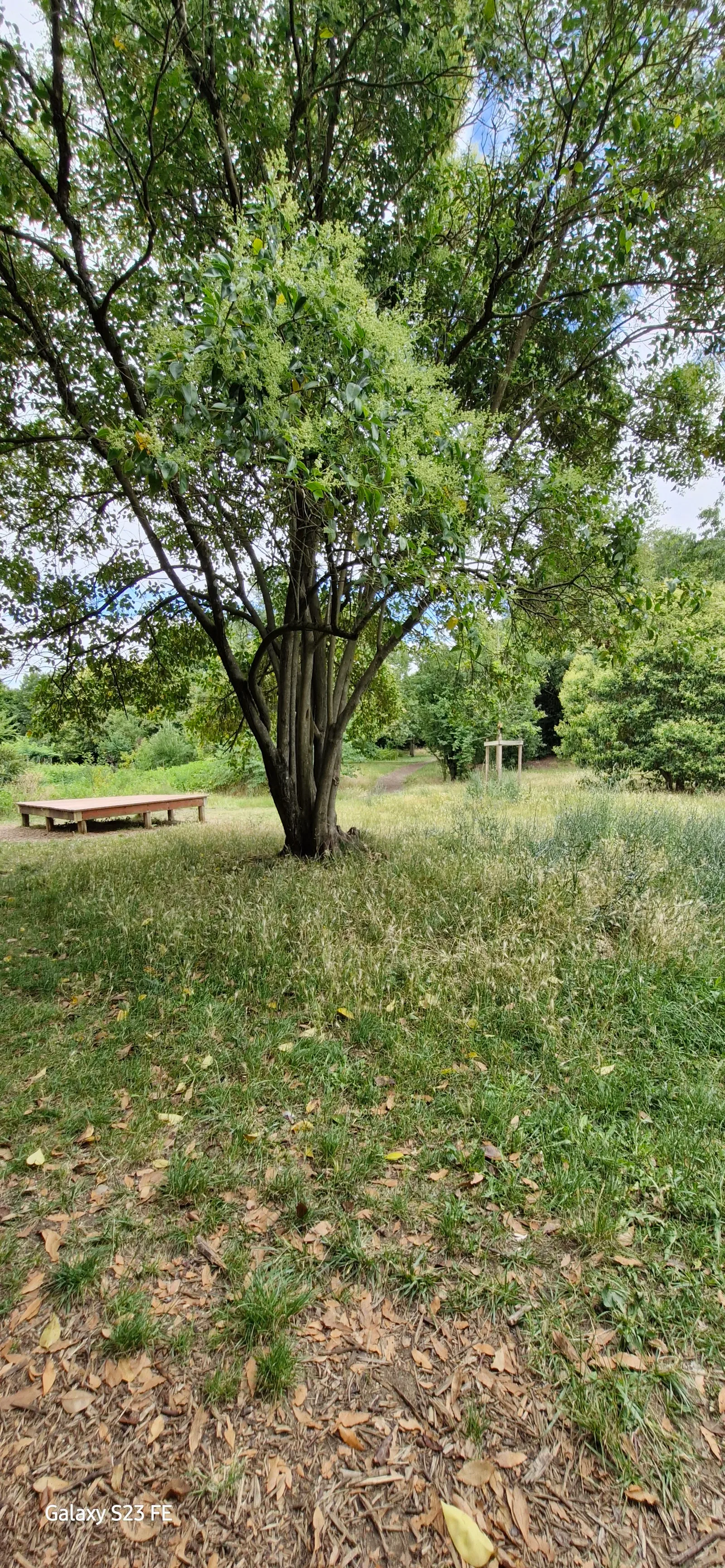 Main view at Béchade Garden Bordeaux — travel photo