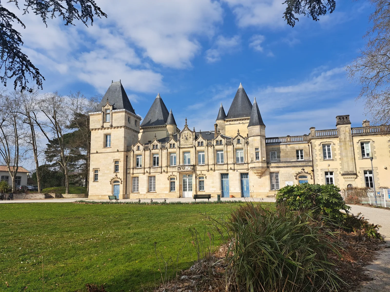 Bois de Thouars