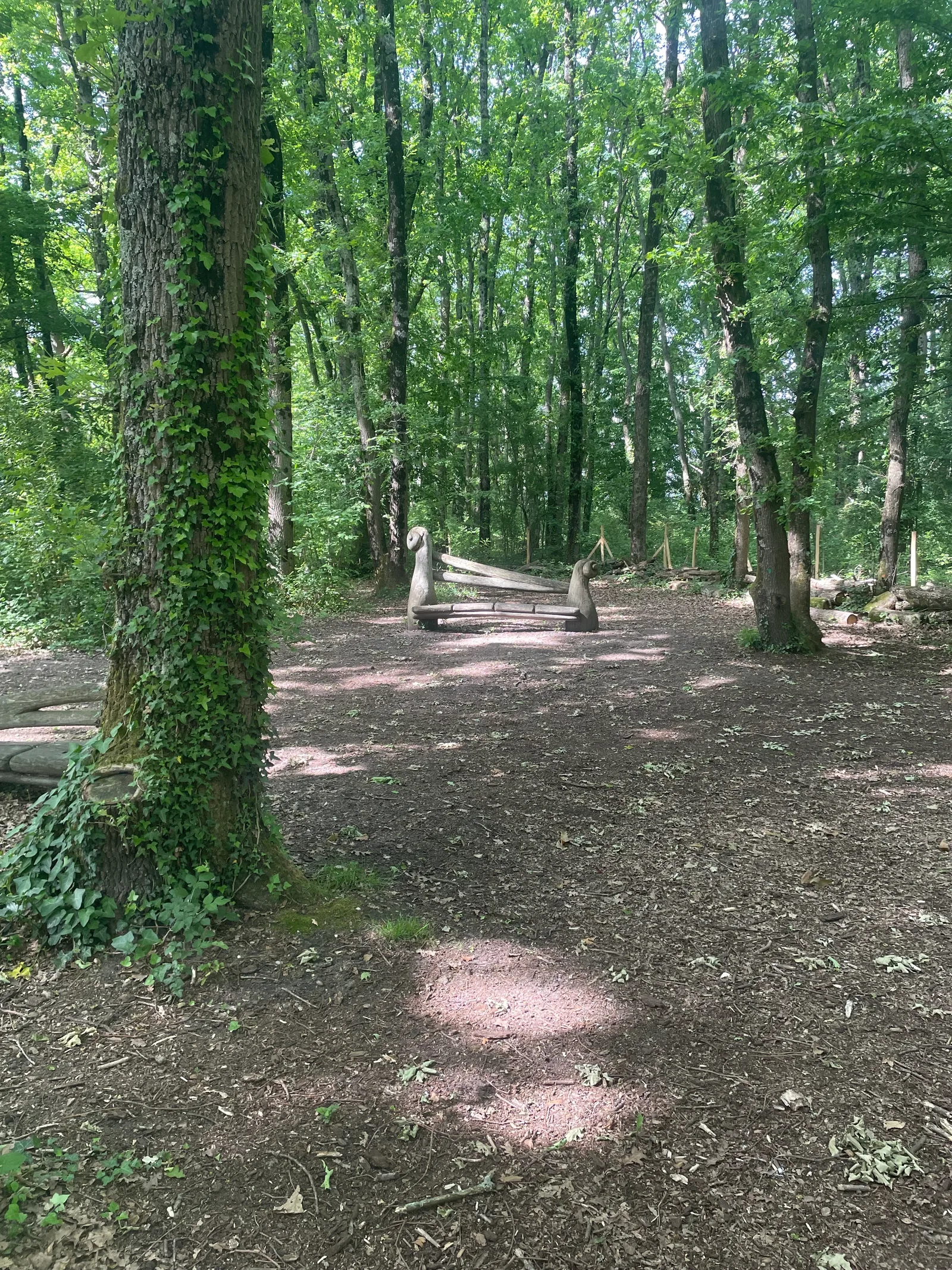 Atmosphere at Bois du Bouscat Bordeaux — travel photo