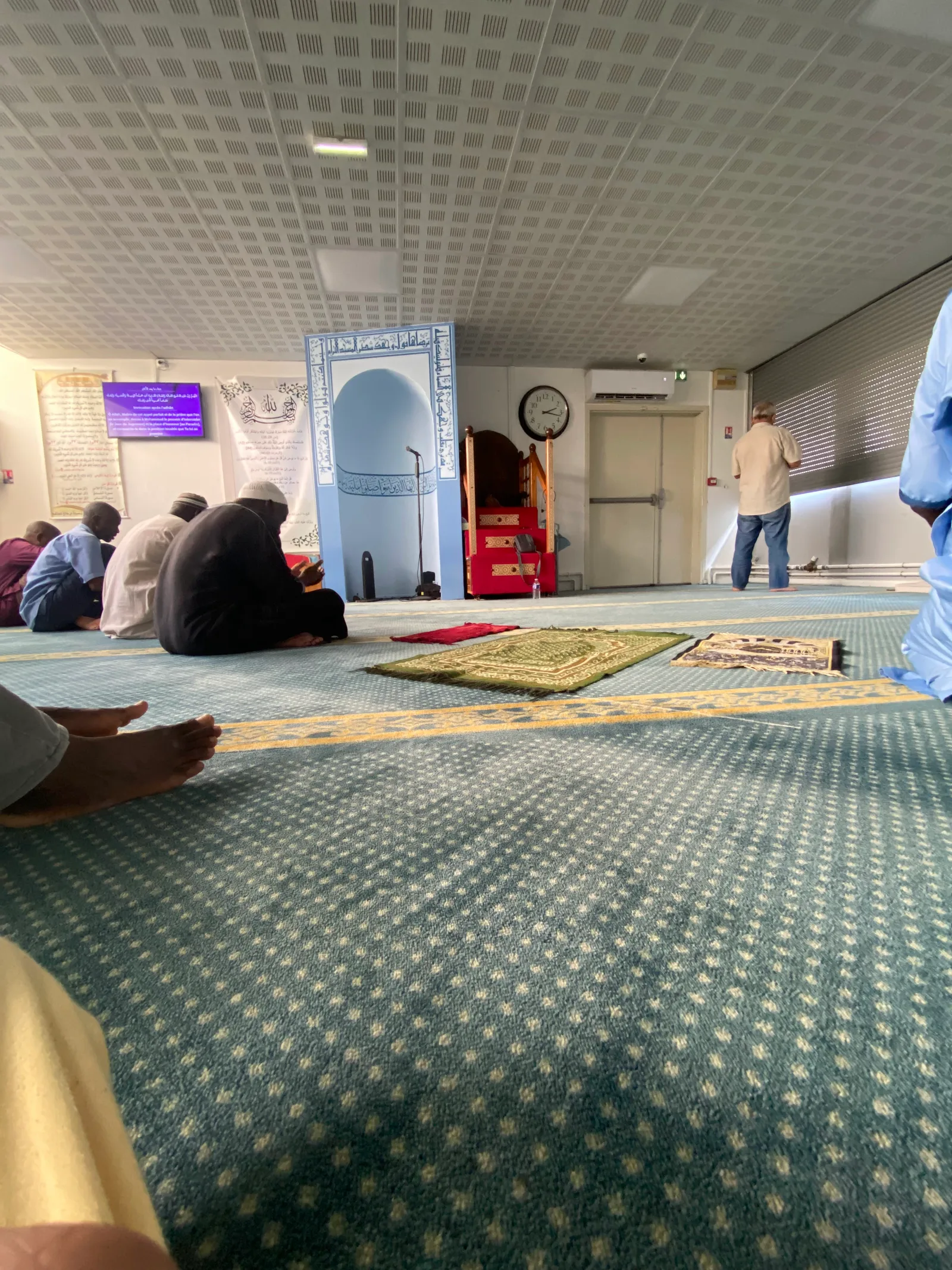 Main view at Bordeaux Grand Parc Mosque Bordeaux — travel photo