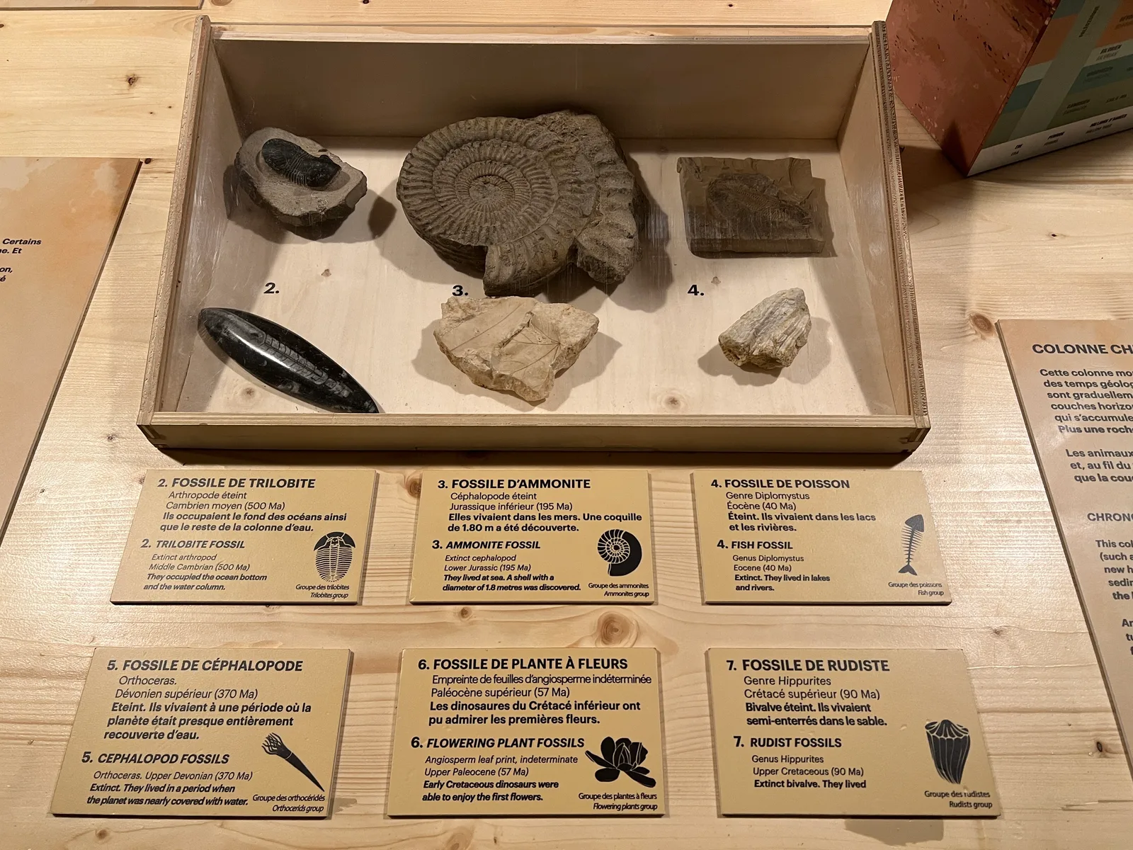 Details at Cap Sciences Bordeaux — travel photo