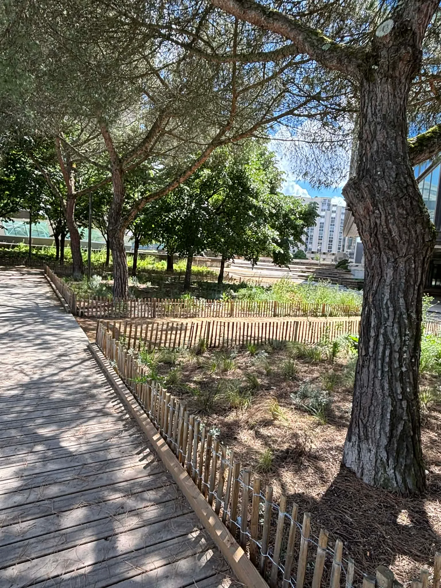 Atmosphere at Esplanade Charles de Gaulle Bordeaux — travel photo