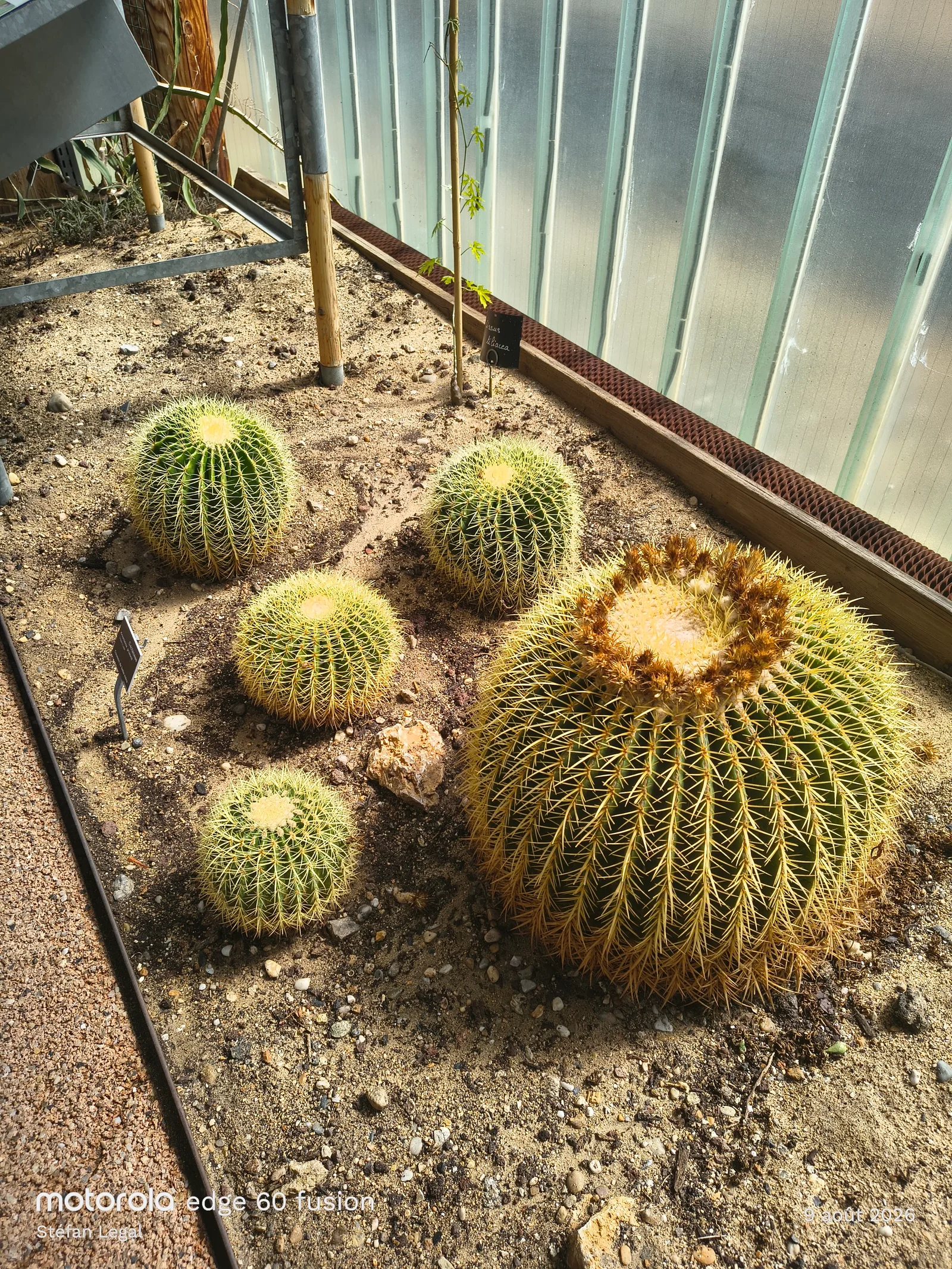 Main view at Jardin Botanique de Bordeaux Bordeaux — travel photo