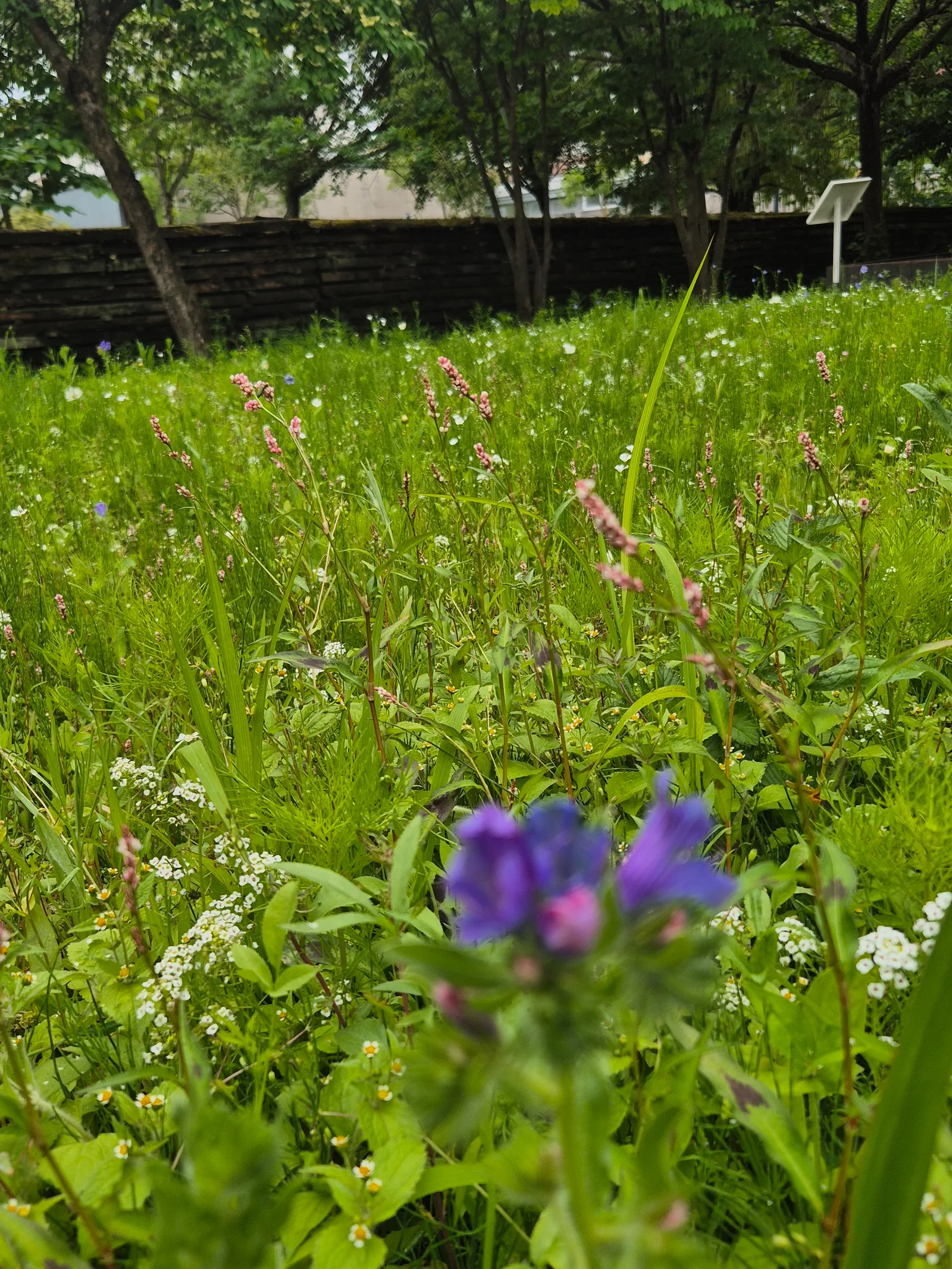 Atmosphere at Jardin Botanique de Bordeaux Bordeaux — travel photo