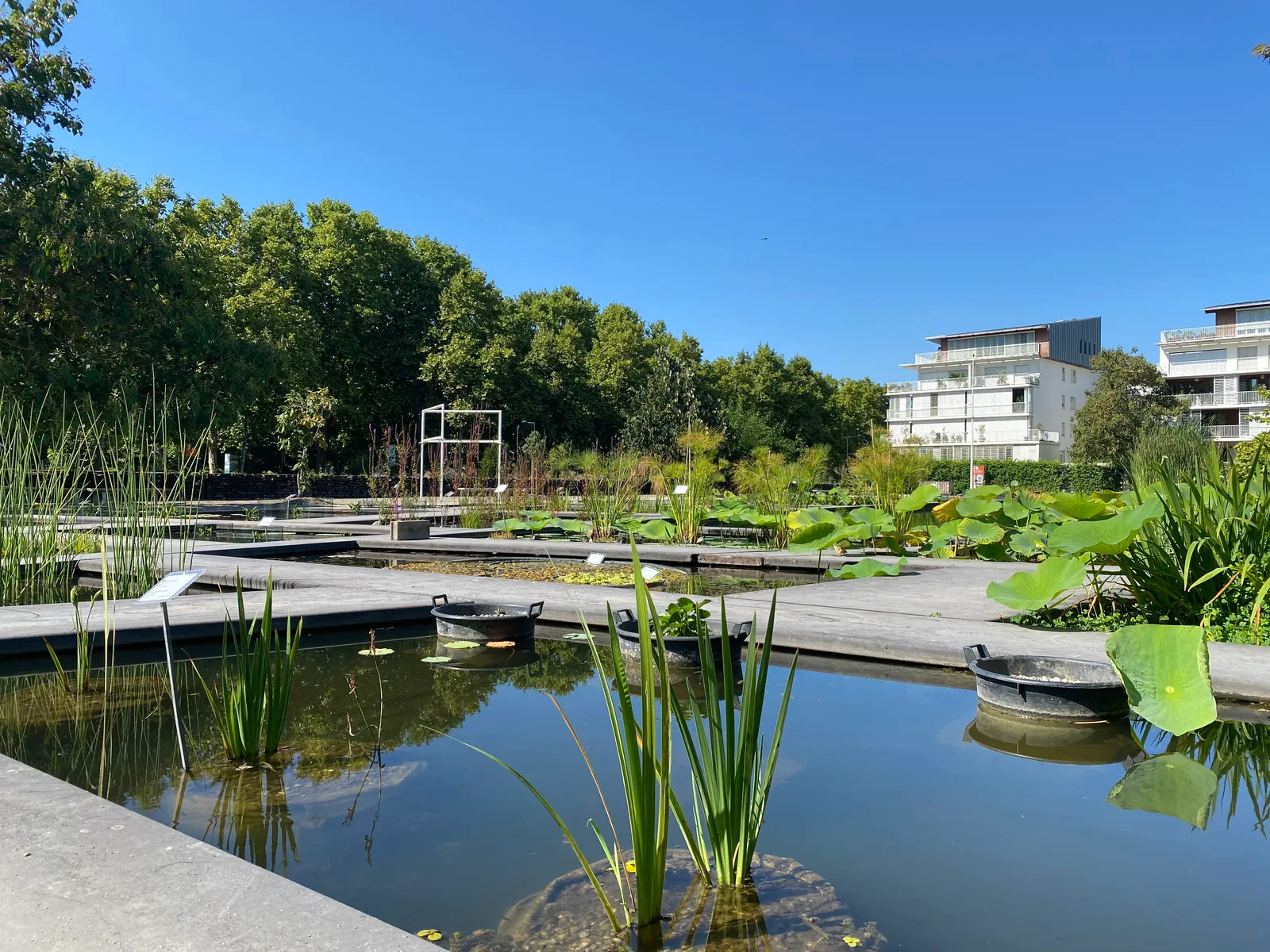 Jardin Botanique de Bordeaux