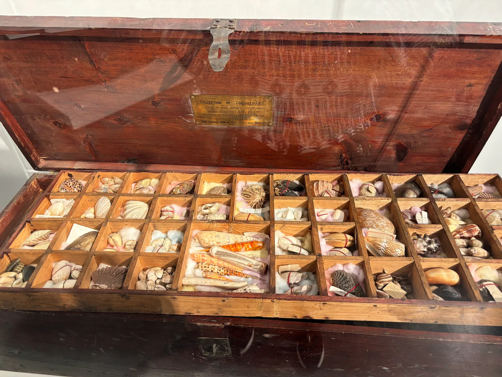 Atmosphere at Musée Mer Marine Bordeaux — travel photo